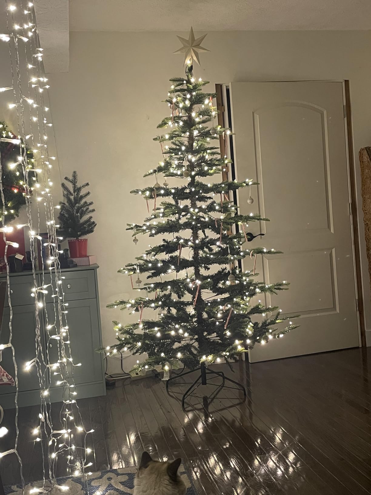 Naomi Home 9 ft Pre-lit Traditional Artificial Fir Christmas Tree with Warm White Lights, Durable Metal Stand customer photo 1