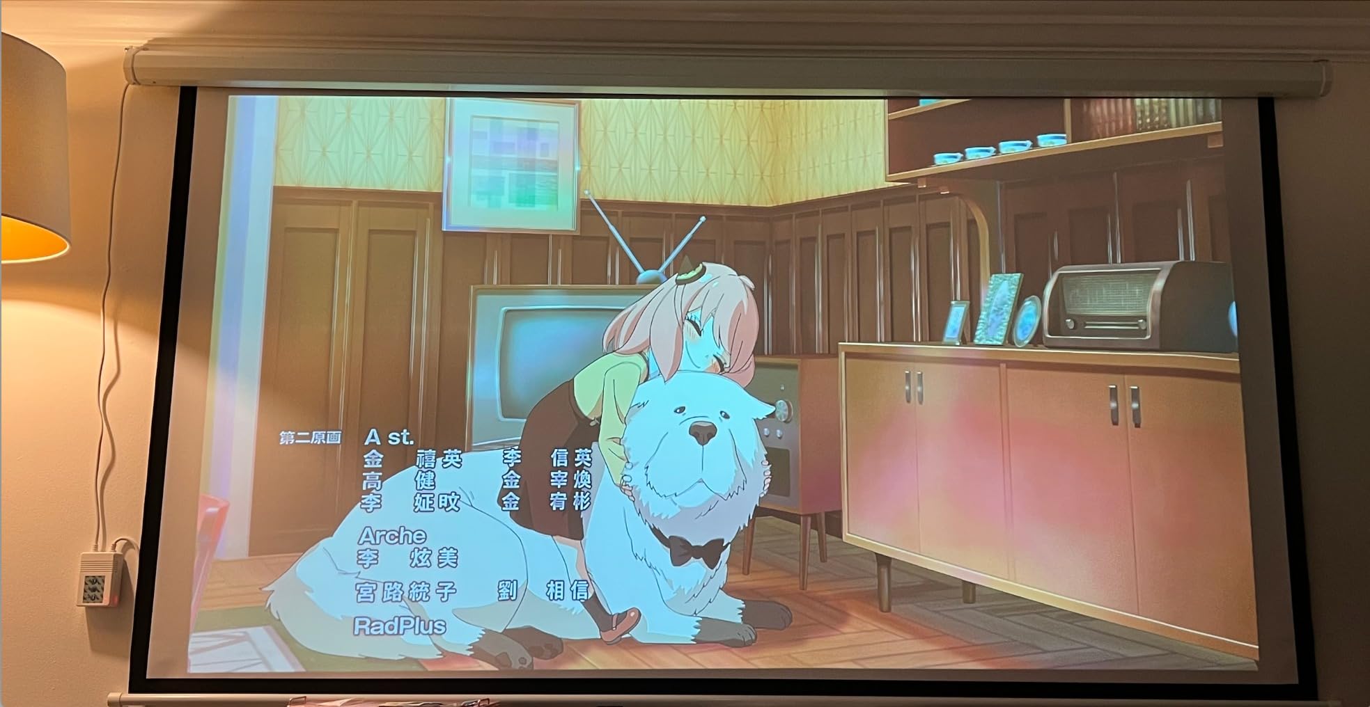 Auto Motorized Projector Screen with Remote Control, 120 inch, 4:3 Aspect Ratio, Wall/Ceiling Mounted Electric Movie Screen customer photo 1