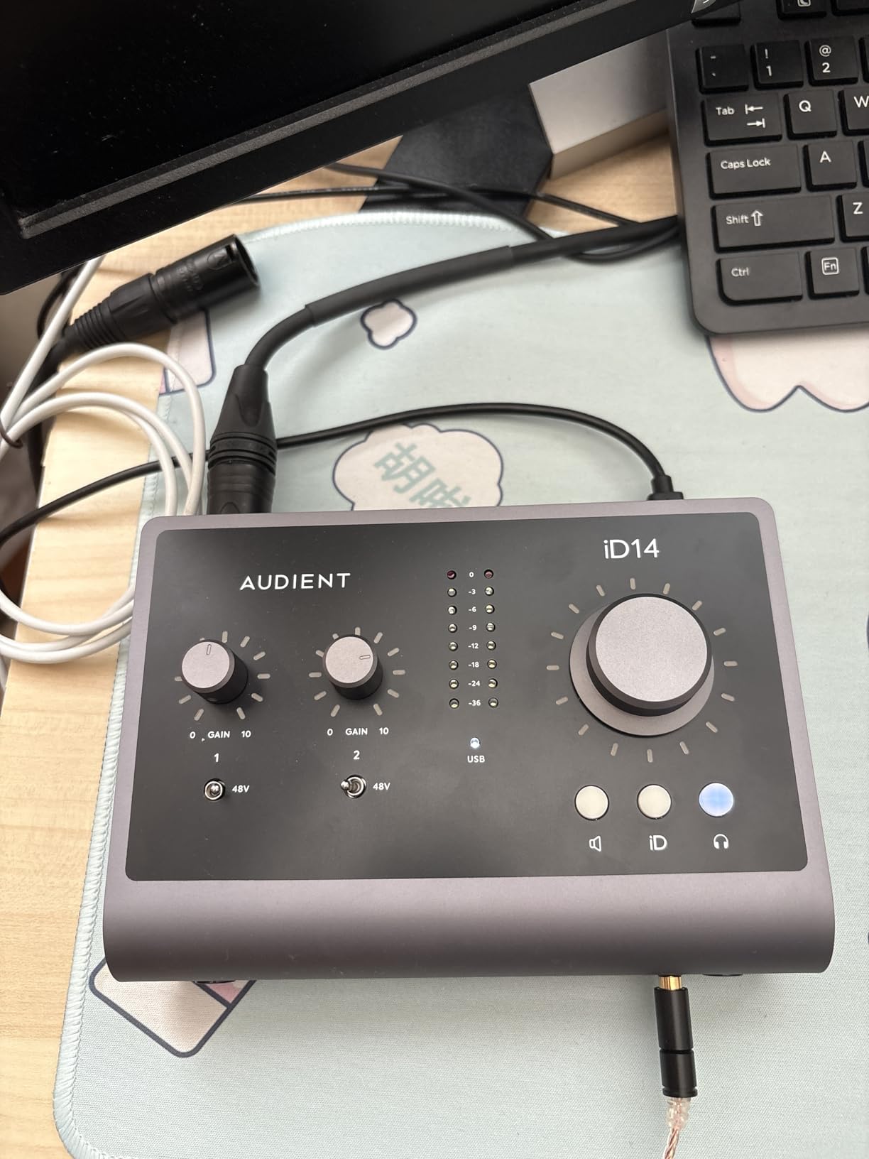 Audient iD14 MKII USB Audio Interface with Class-A Microphone Preamps customer photo 2