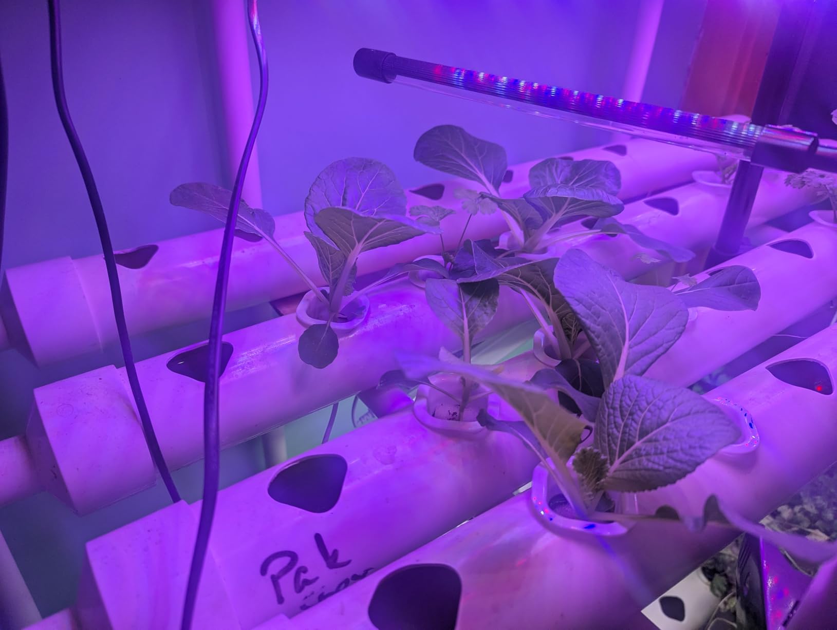 Hydroponics Growing System Kit 36 Plant Sites Food-Grade PVC-U Pipes Hydroponic Grow Kit for Vegetables, Fruits, Herb customer photo 1