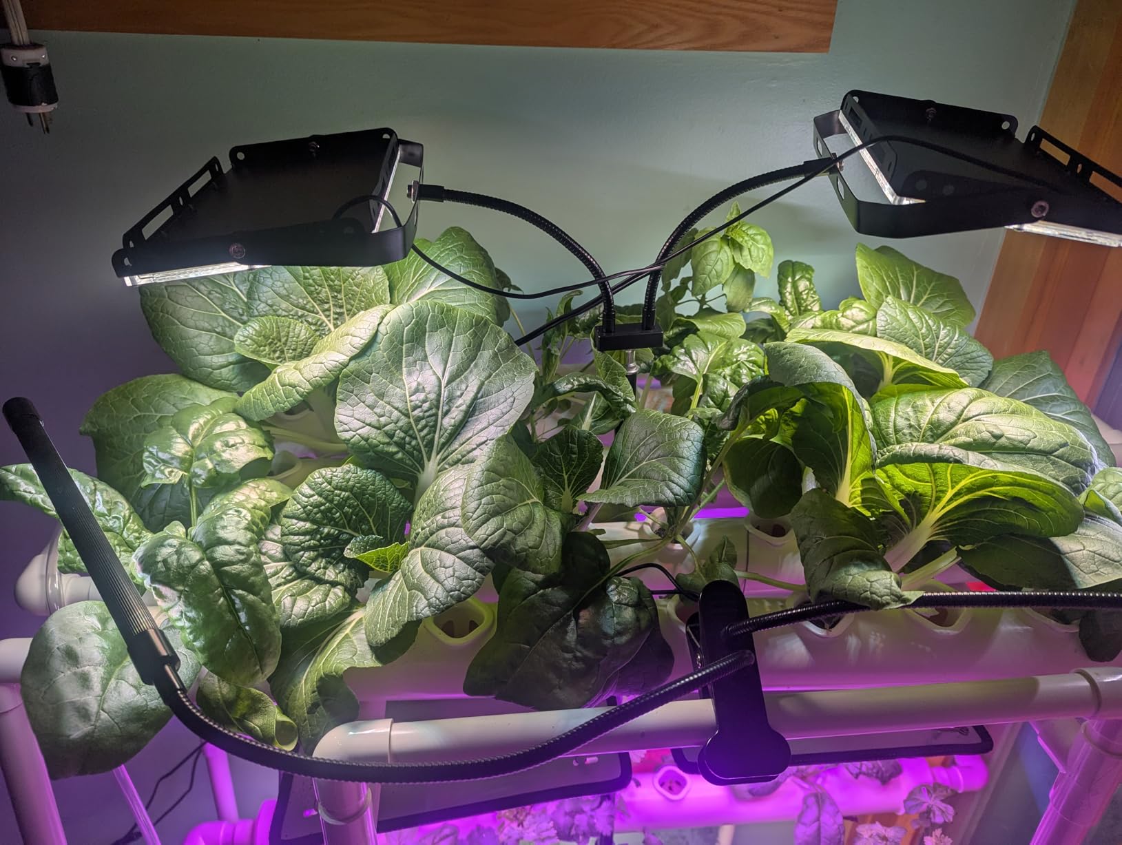 Hydroponics Growing System Kit 36 Plant Sites Food-Grade PVC-U Pipes Hydroponic Grow Kit for Vegetables, Fruits, Herb customer photo 2