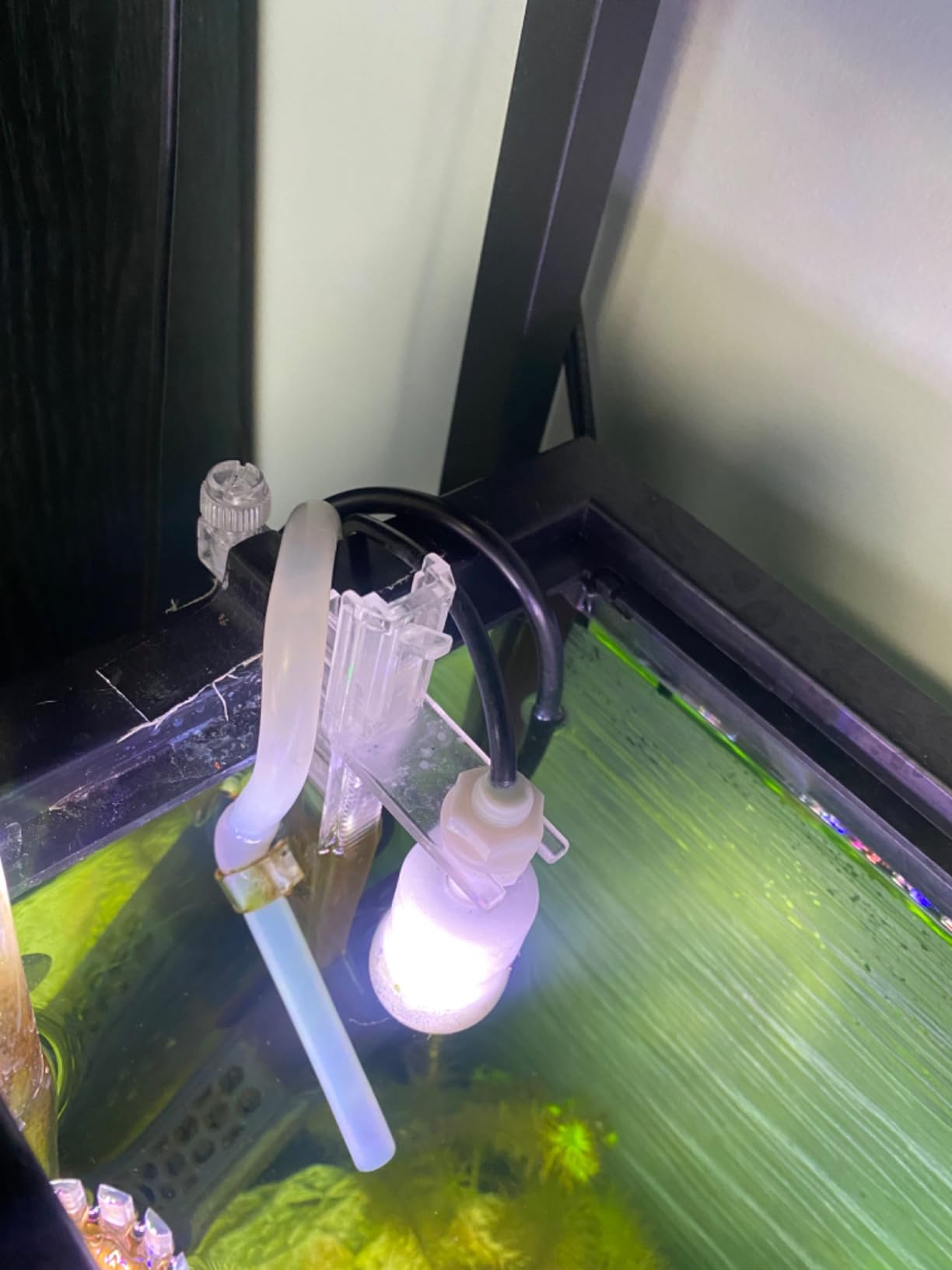 DIGITEN Auto Top Off System, Smart ato System, Fish Tank Sump Water Filler Refiller, Automatic ATO System for Aquarium with Pump customer photo 1