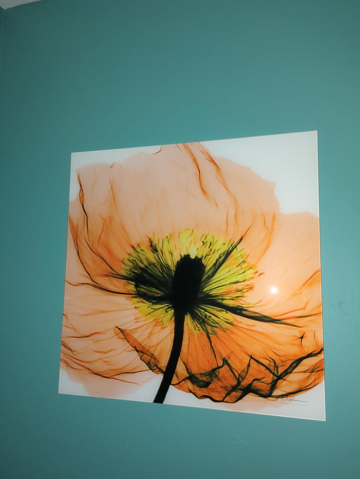 Empire Art Direct Frameless Free Floating Tempered Glass Panel Graphic Wall Art Ready to Hang, 24