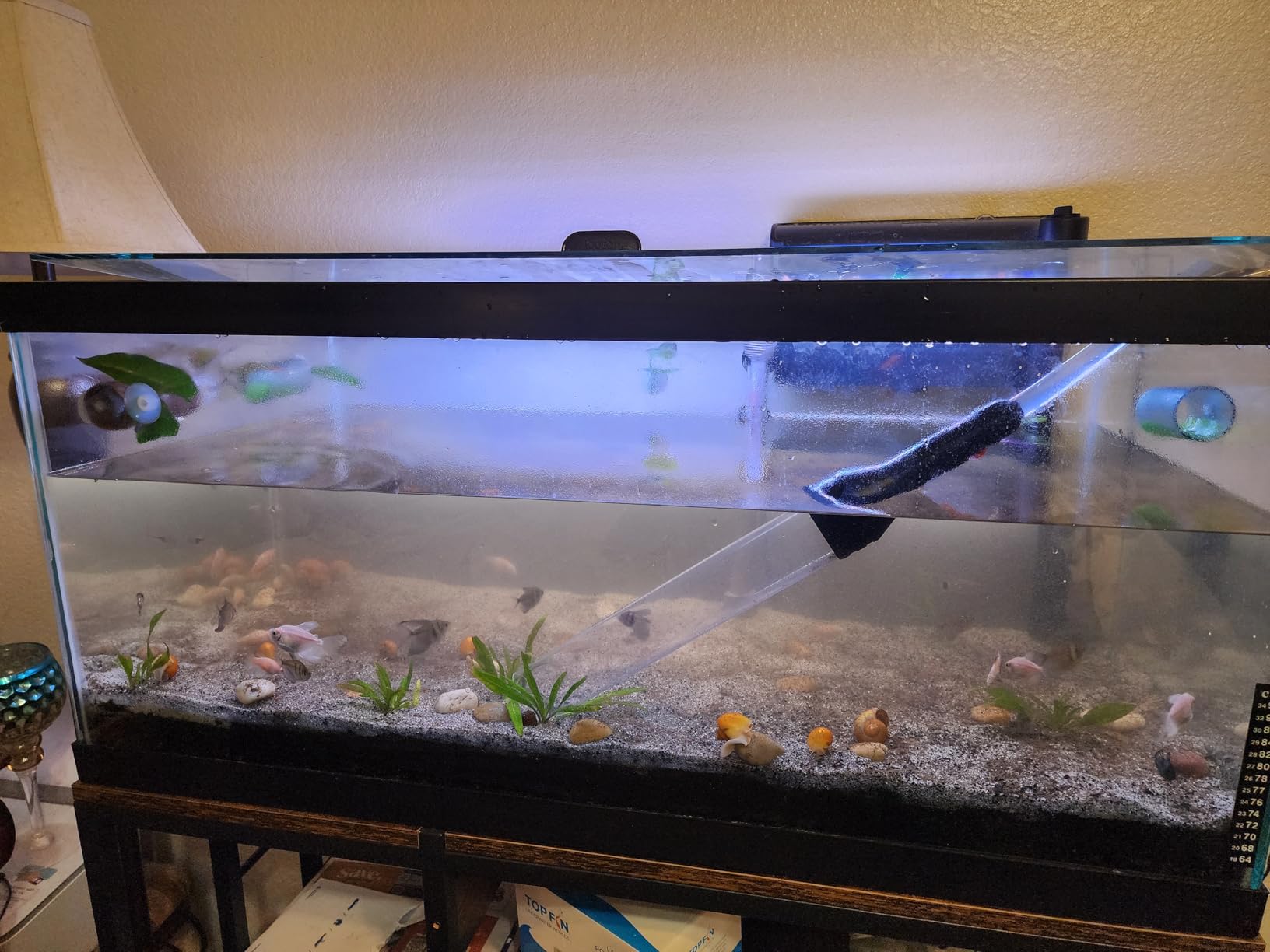 Gravel Vacuum for Aquarium Water Changer Fish Tank Cleaning Tools, Siphon Universal Quick Pump Aquarium Water Changing (30ft) customer photo 1