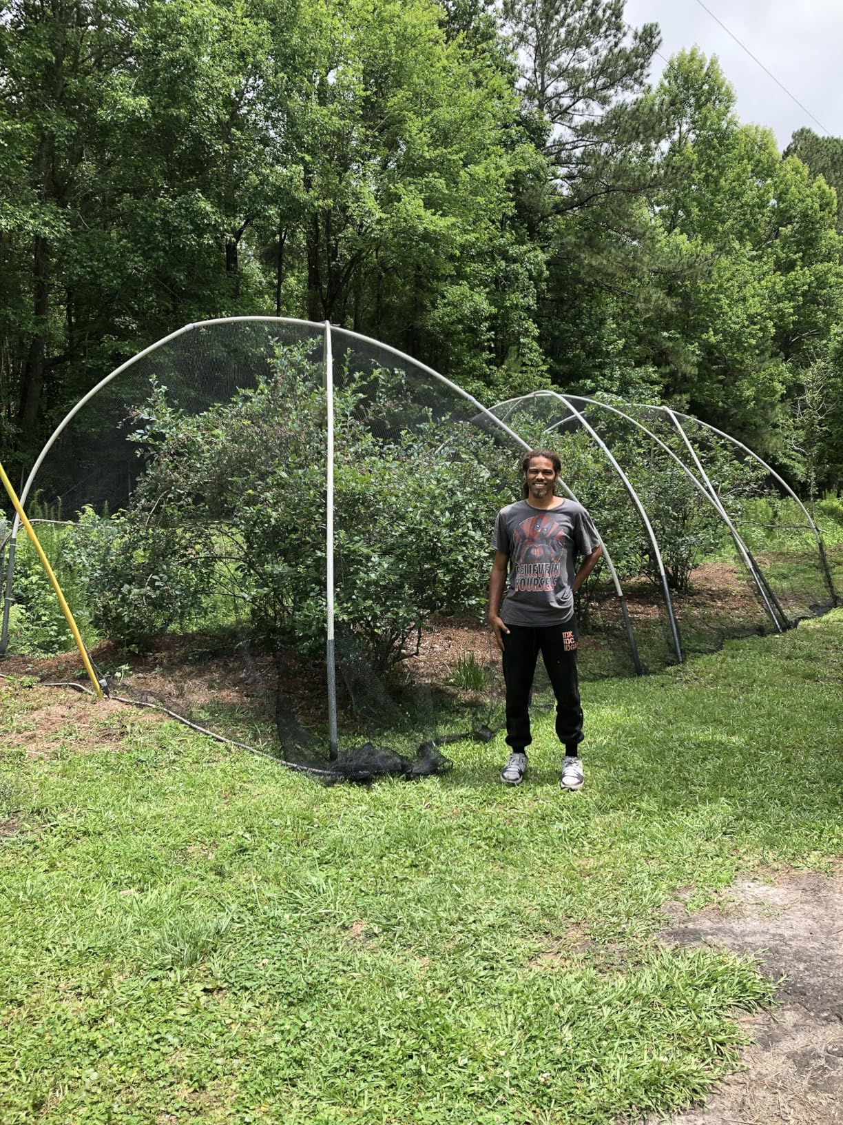 Bird Netting 7.5x100 Ft, 1/2In Mesh Heavy Duty Garden Netting Pest Barrier for Plants, Fruit Trees, Vegetables customer photo 1