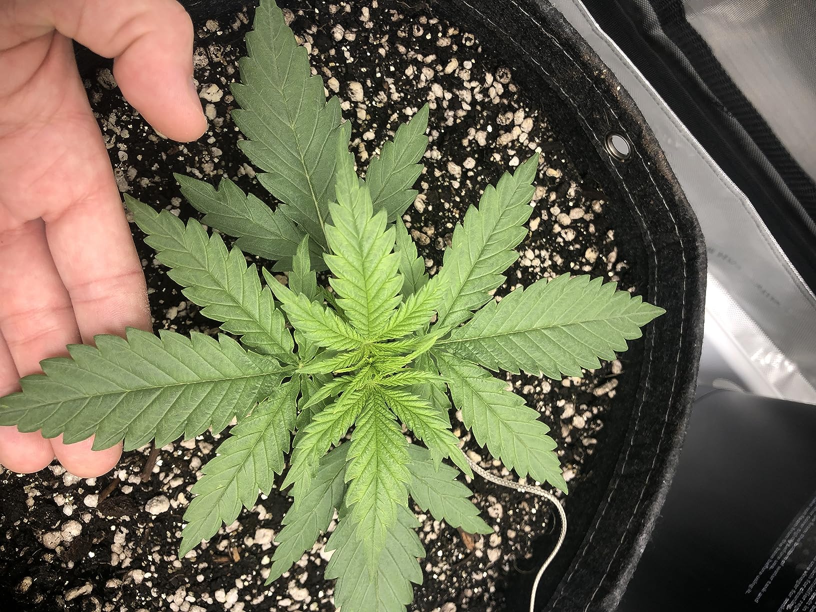 AC Infinity AI Grow System 3x3, 3-Plant Kit with Self-Learning AI Controller, Dynamic Airflow & LM301H LED Lighting Control, 2000D Mylar Tent customer photo 2
