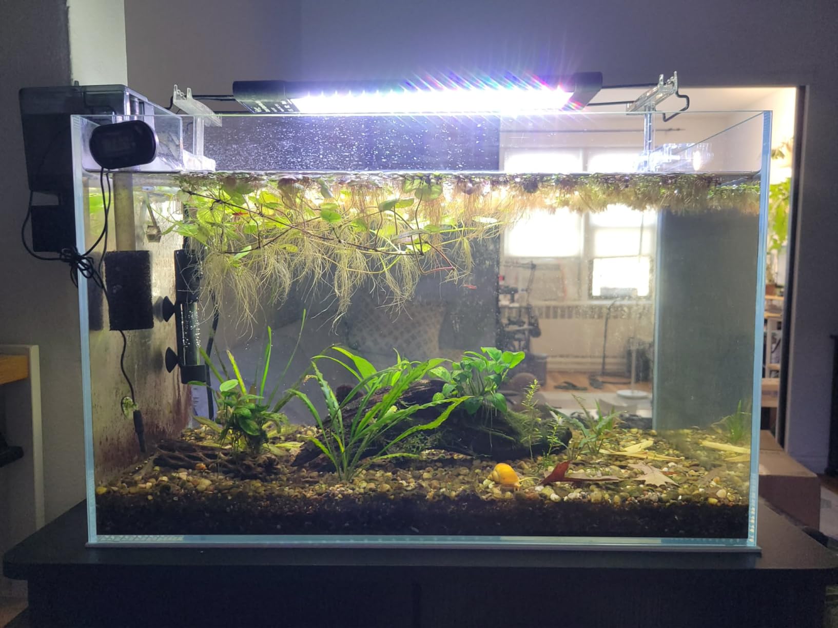 Ultra Clear Rimless Aquarium Tank 2-22 gallons Low Iron Glass (15Gal) customer photo 2