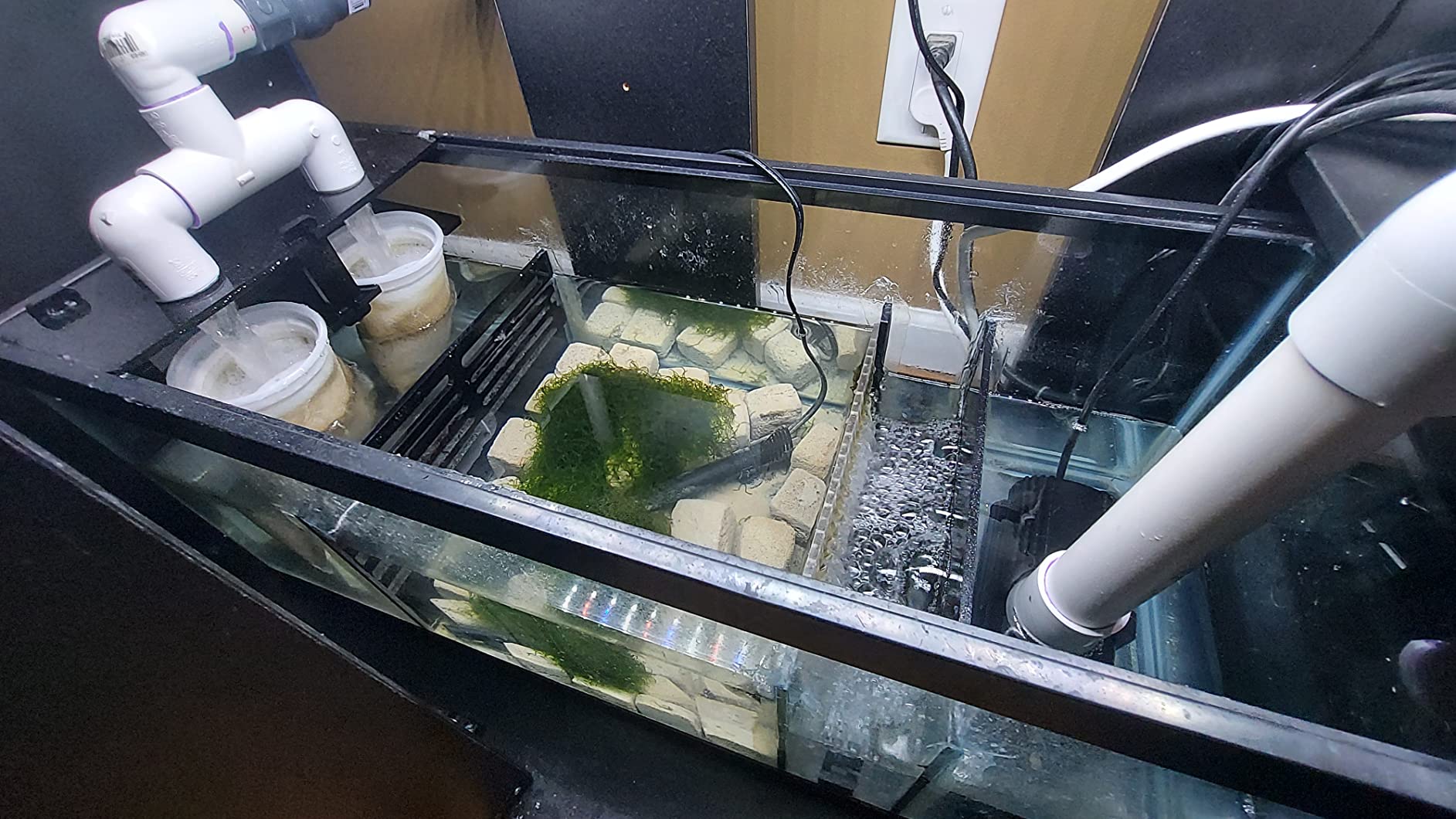 Adjustable Sump Baffle Kit - Refugium Kit for 40 Gallon Breeder Tank - Reef Aquarium - Saltwater Aquarium Filter System- Protein Skimmer Sump customer photo 2