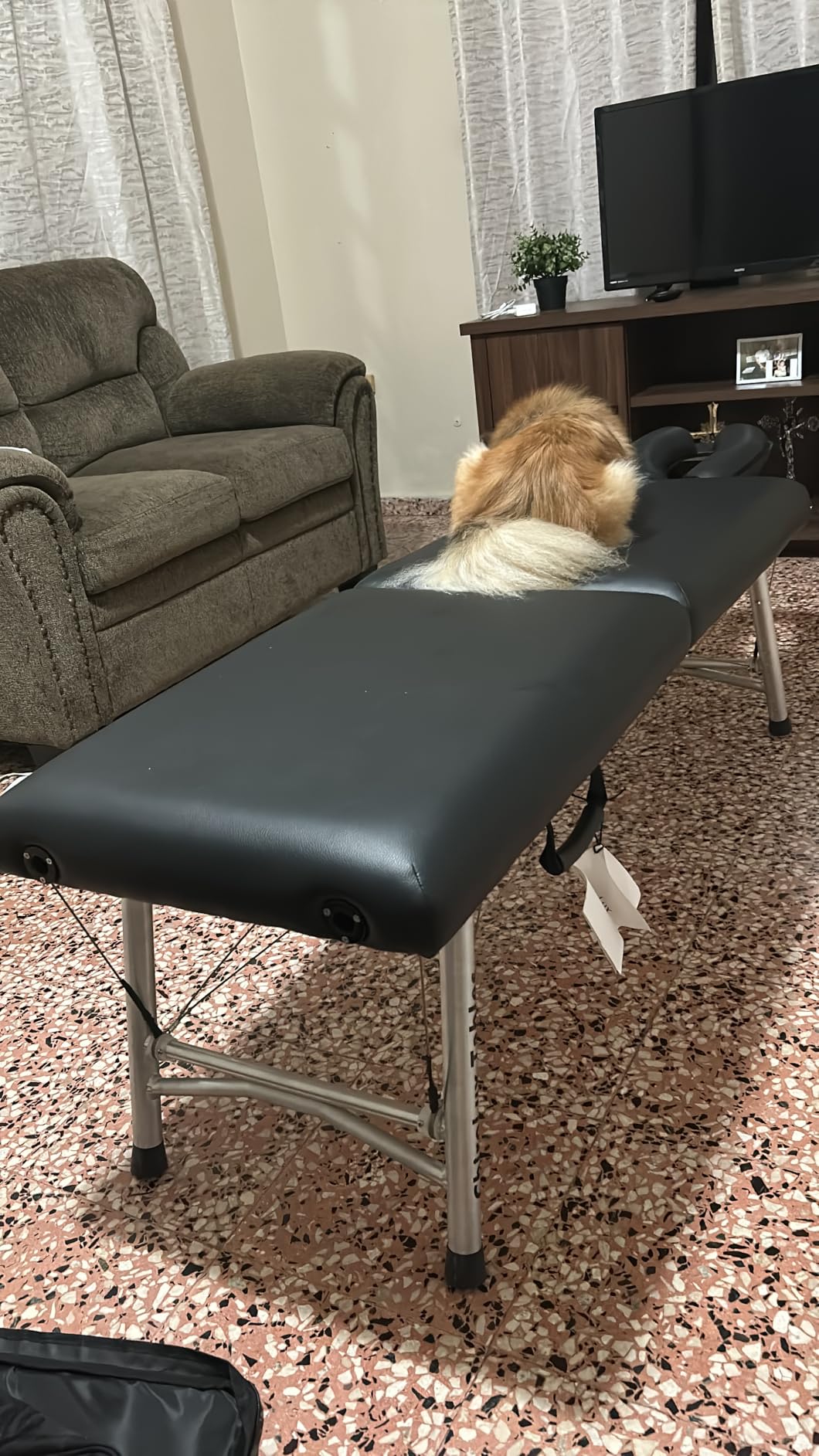 ChiroLux Plus Chiropractic Table | Professional Durability and Stability, Functional Design for Maximum Patient Comfort, Simple Setup for Sports and Physical Therapy customer photo 1