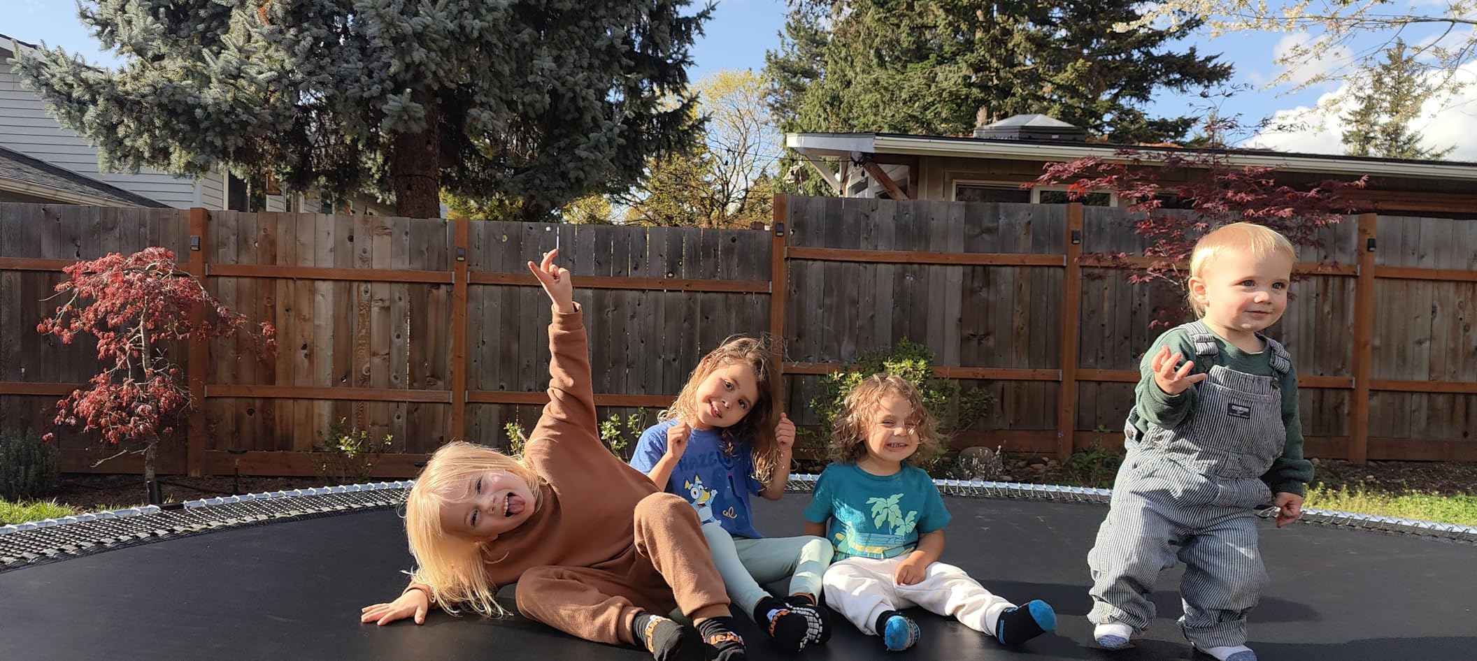 LeJump 14FT Springless Outdoor Trampoline with Net, ASTM Approved Backyard Big Trampolines for Kids and Adults customer photo 1