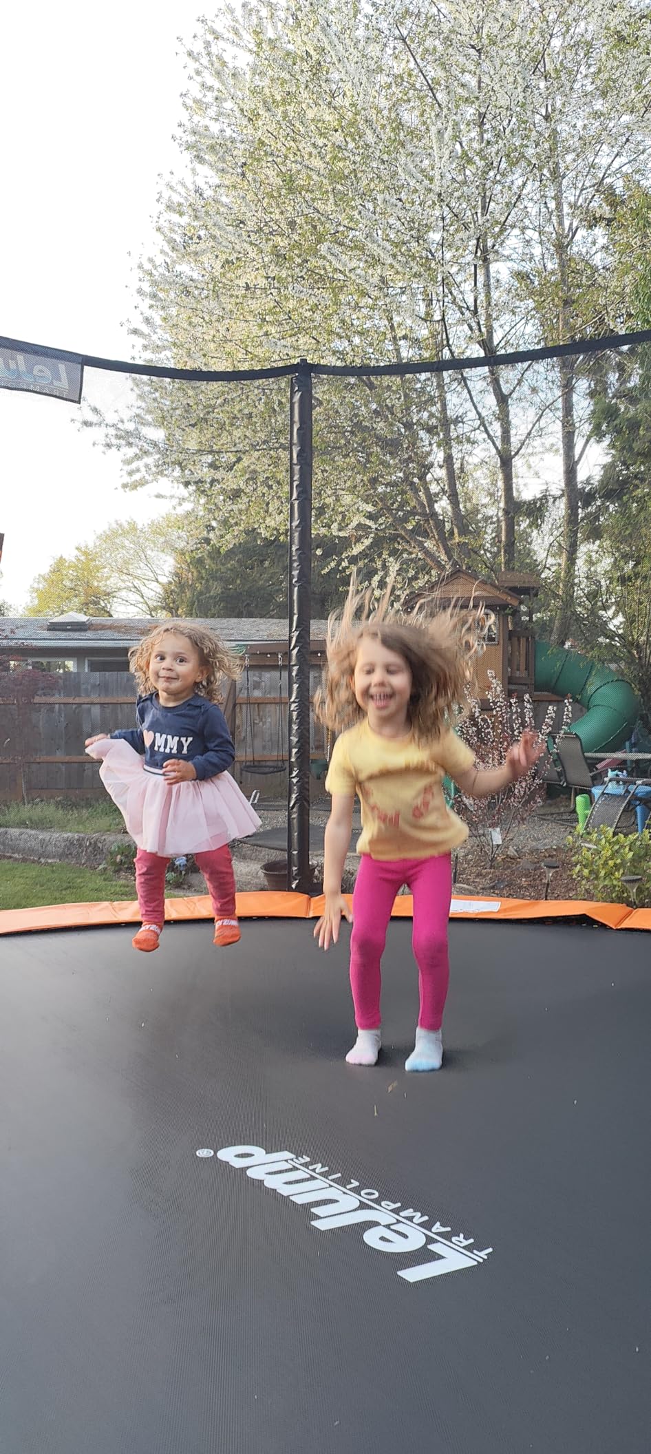LeJump 14FT Springless Outdoor Trampoline with Net, ASTM Approved Backyard Big Trampolines for Kids and Adults customer photo 2