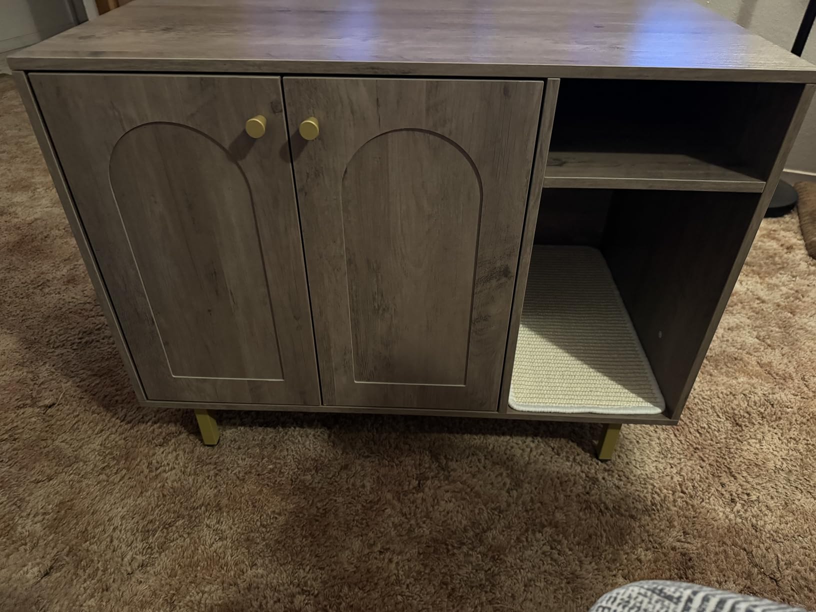 Hzuaneri Cat Litter Box Enclosure Enclosed, Hidden Litter Box Cabinet Furniture with Storage, Wooden Indoor Cat House Large, Modern End Table for Living Room Entryway, White and Gold 01503GCLB customer photo 1