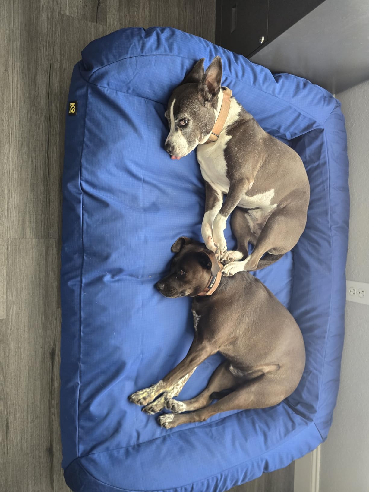 K9 Ballistics Tough Bolster Nesting Pillow X-Large Sofa Dog Bed with Removable Washable Cover - Durable, Water Resistant with Nonskid Bottom 54