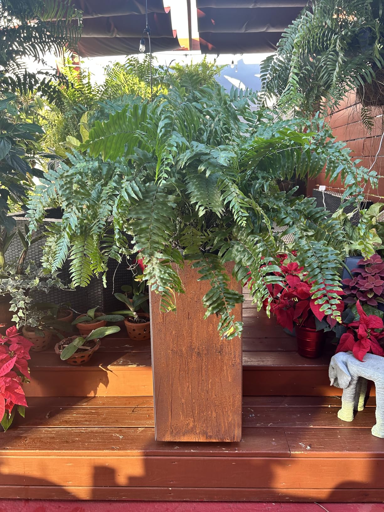 Veradek Corten Steel Series Pedestal Planter - Tall Corten Steel Planter for Outdoor Porch/Patio | Naturally Rusting Steel for All-Weather Use | Modern Rustic Decor for Tall Plants, Trees, Flowers customer photo 1