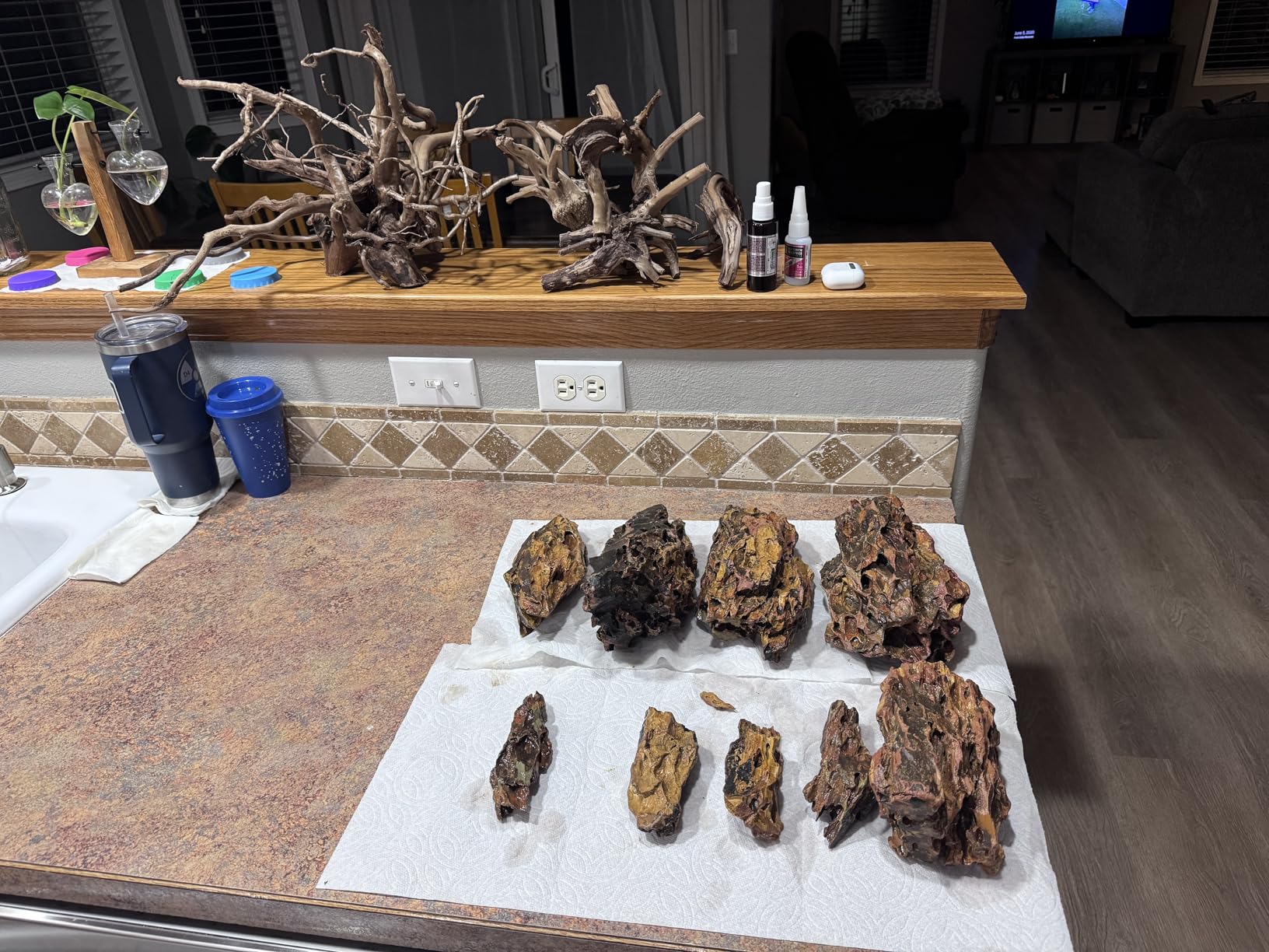 LANDEN Natural Spider Wood Aquarium Decorative Fish Tank Decorations, Driftwood Branches (12-16 Inch, XL) 4 Pcs customer photo 1