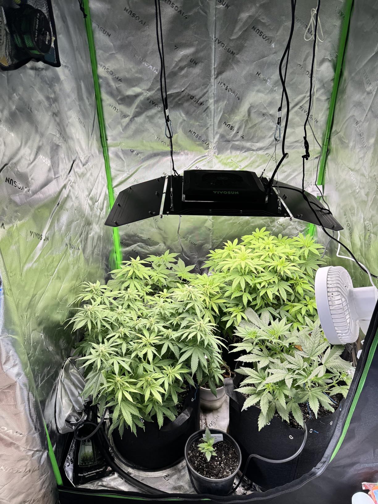 VIVOSUN GIY Smart Grow Tent System 3x3, WiFi-Integrated Grow Tent Kit with Automate Ventilation, Schedule Full Spectrum 200W LED Grow Light, GrowHub E42A+ Controller customer photo 2
