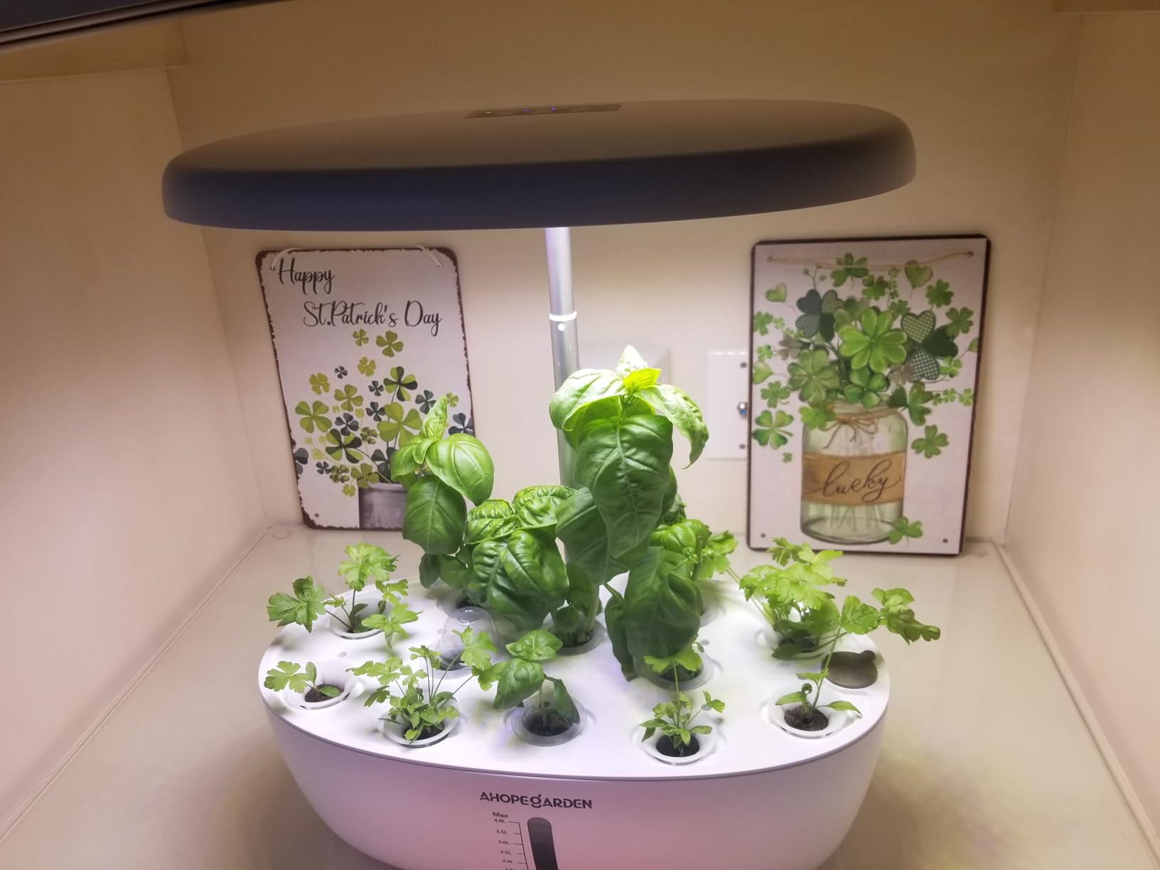Ahopegarden Indoor Garden Hydroponics Growing System: 12 Pods Plant Germination Kit with LED Grow Light customer photo 1