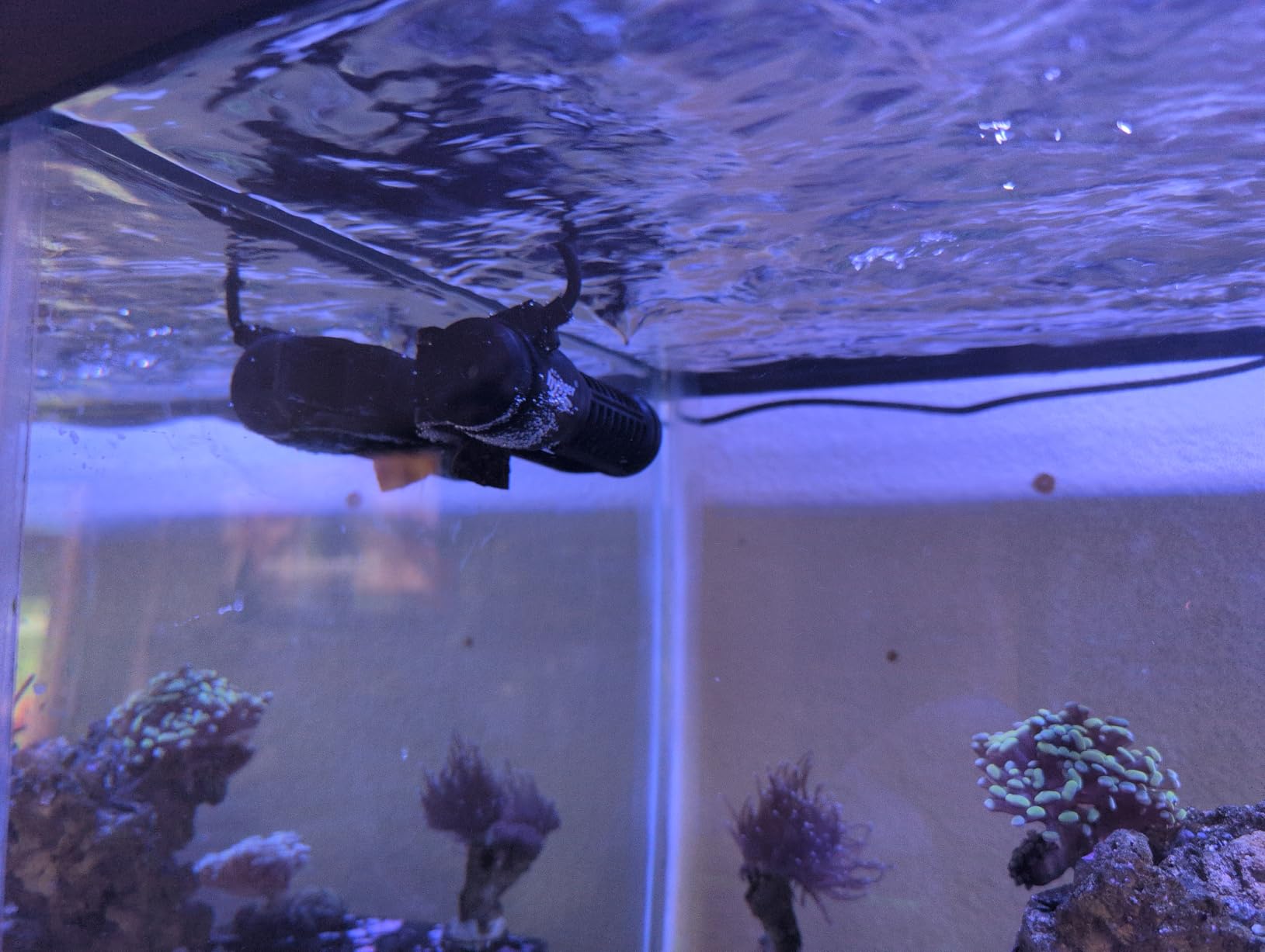 hygger Aquarium Wave Maker, Adjustable Cross Flow Pump with LED Display Controller, Magnetic DC 24V Aquarium Powerhead for Freshwater and Marine Reef Aquariums Up to 135 Gallon (18w) customer photo 1