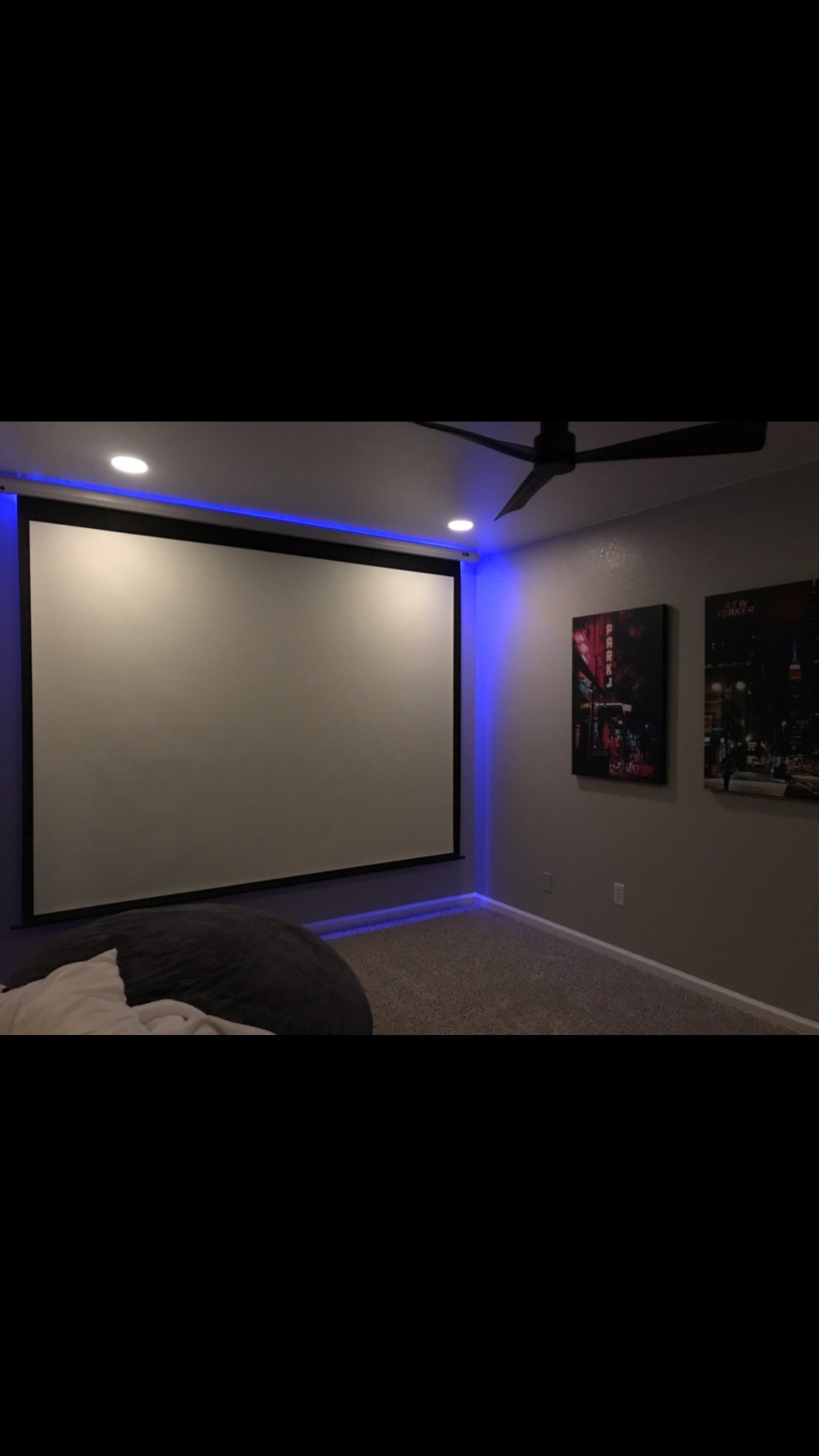 Projector Screen Elite Screens Spectrum, 150-INCH Diag 16:9, Motorized Projection Screen Movie Home Theater 4K/8K Ultra HD Ready, ELECTRIC150H2 customer photo 1