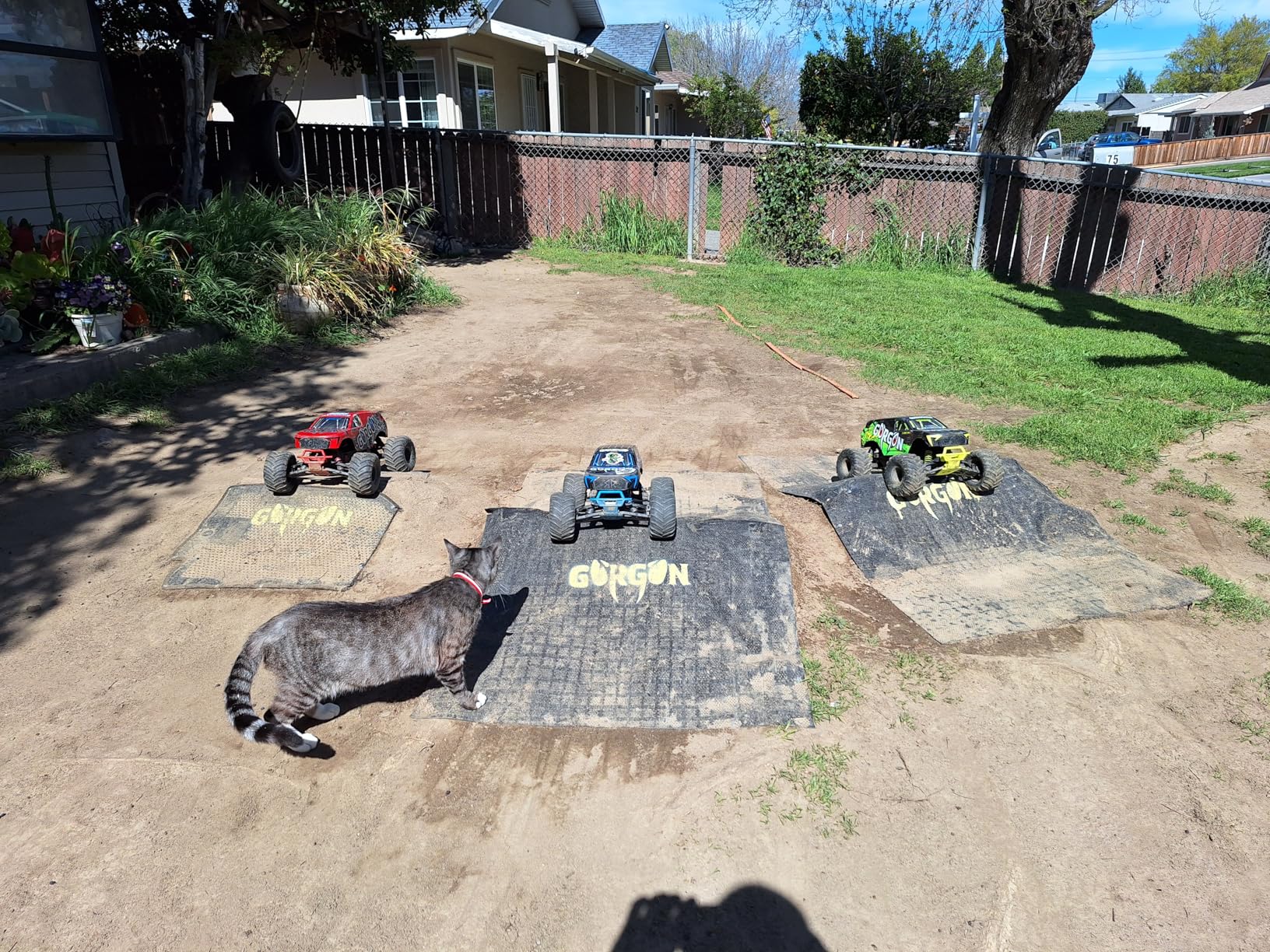 ARRMA RC Monster Truck 1/10 Gorgon 4X2 MEGA 550 Brushed Monster Truck RTR customer photo 2