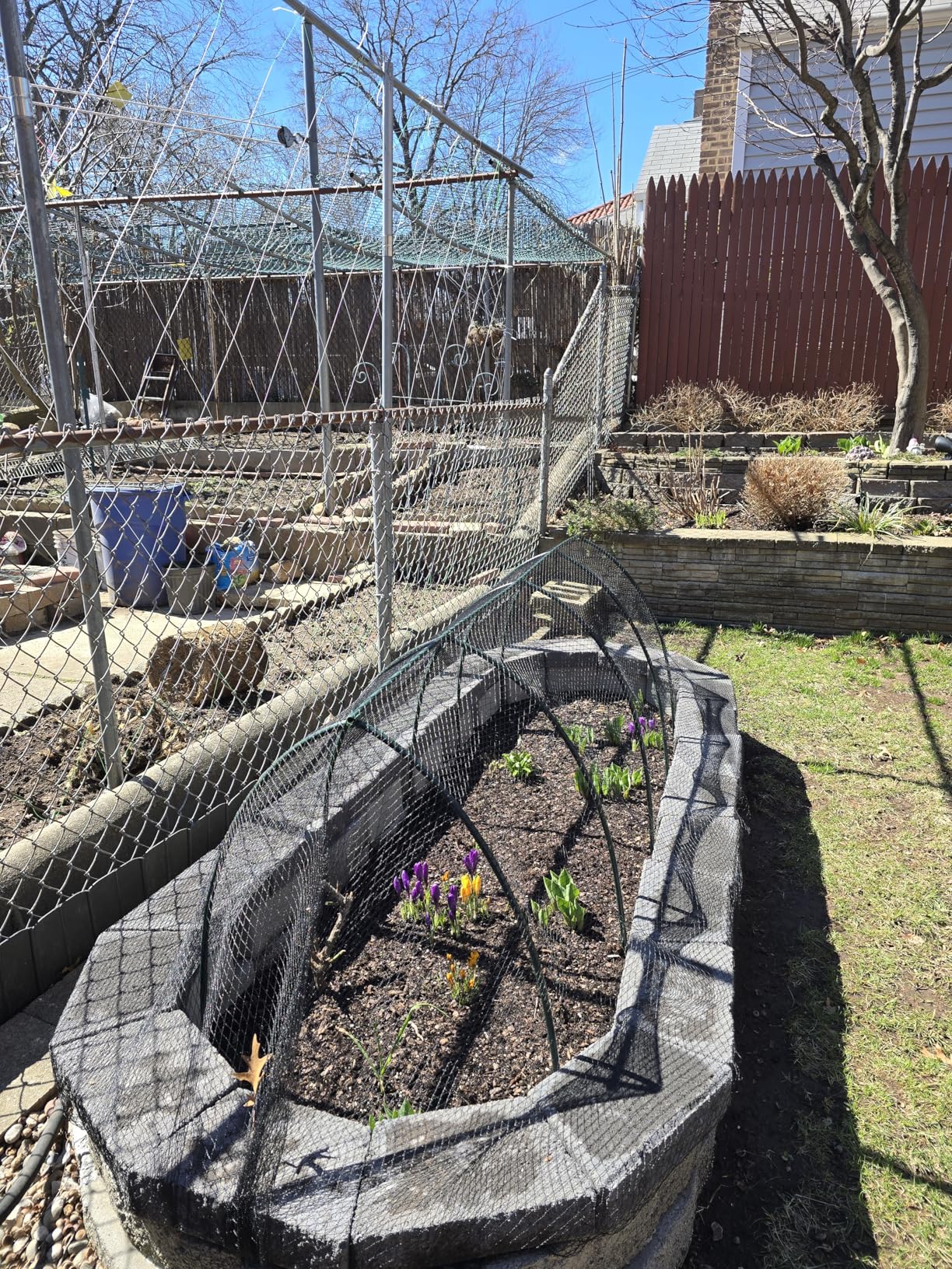 AlpineReach Garden Netting 7.5 x 100 ft Heavy Duty Bird Net, Deer, Plant Protection Extra Strong Woven Mesh customer photo 1