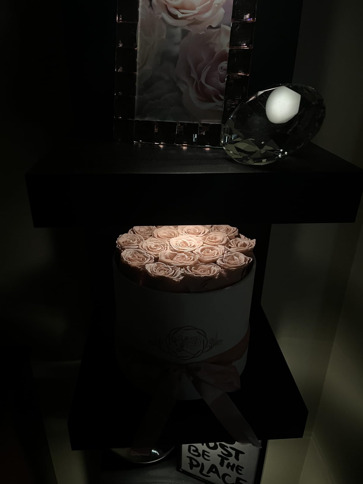 17 Flowers in a Luxury Suede Box, Birthday Gifts for Women, Preserved Flowers, Mothers Day Roses Gift for Mom, Dusty Rose customer photo 2