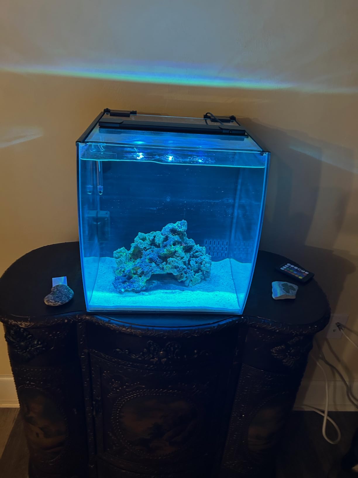 Aquatop 13.5 Gallon Bow Front Glass Aquarium Kit with Filter and LED Lighting - All in One Desktop Fish Tank, Ideal for Freshwater and Saltwater customer photo 1