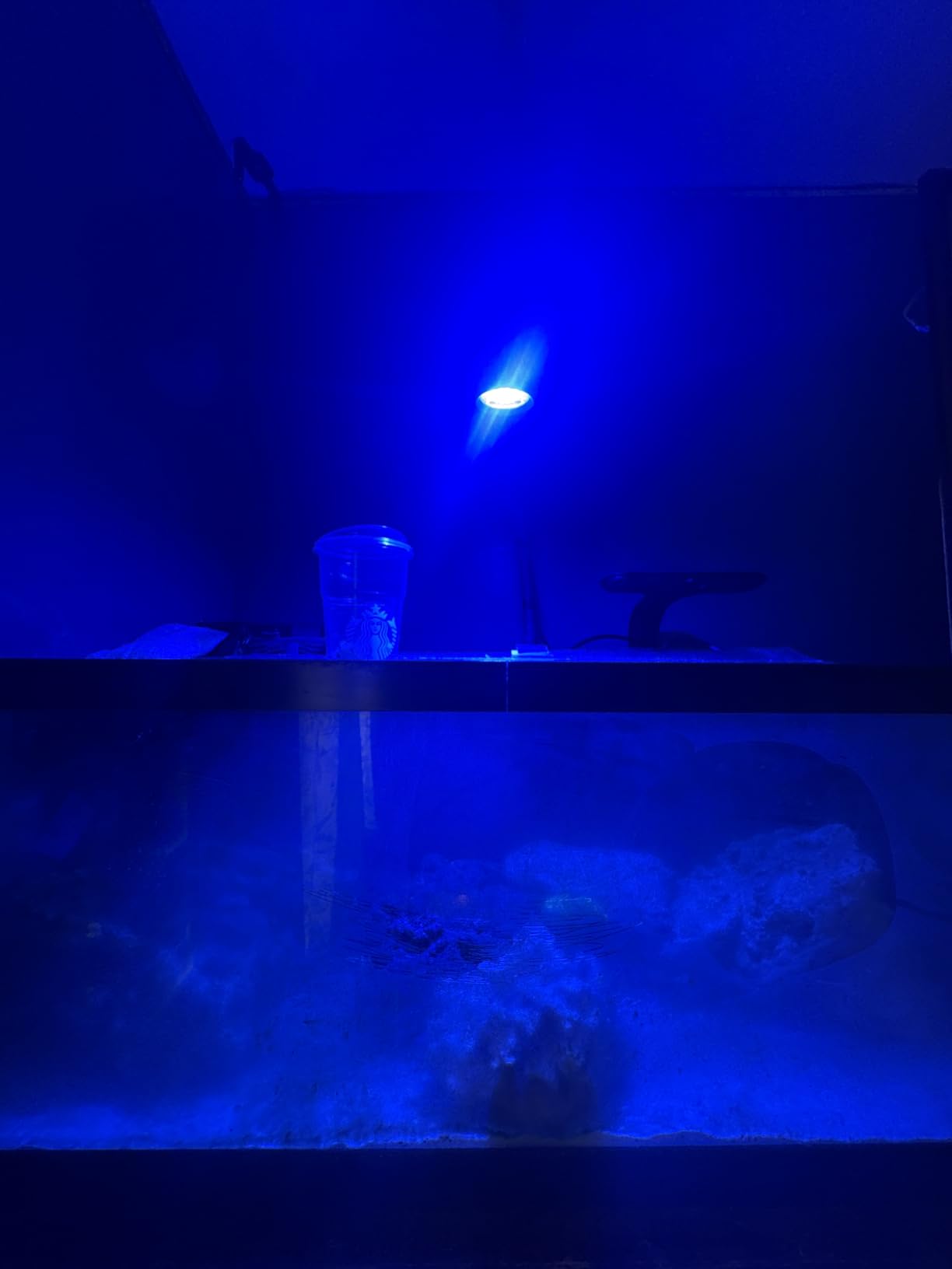 AquaIllumination AI Prime 16 HD LED App Controllable Saltwater Aquarium Reef Light - Black customer photo 1
