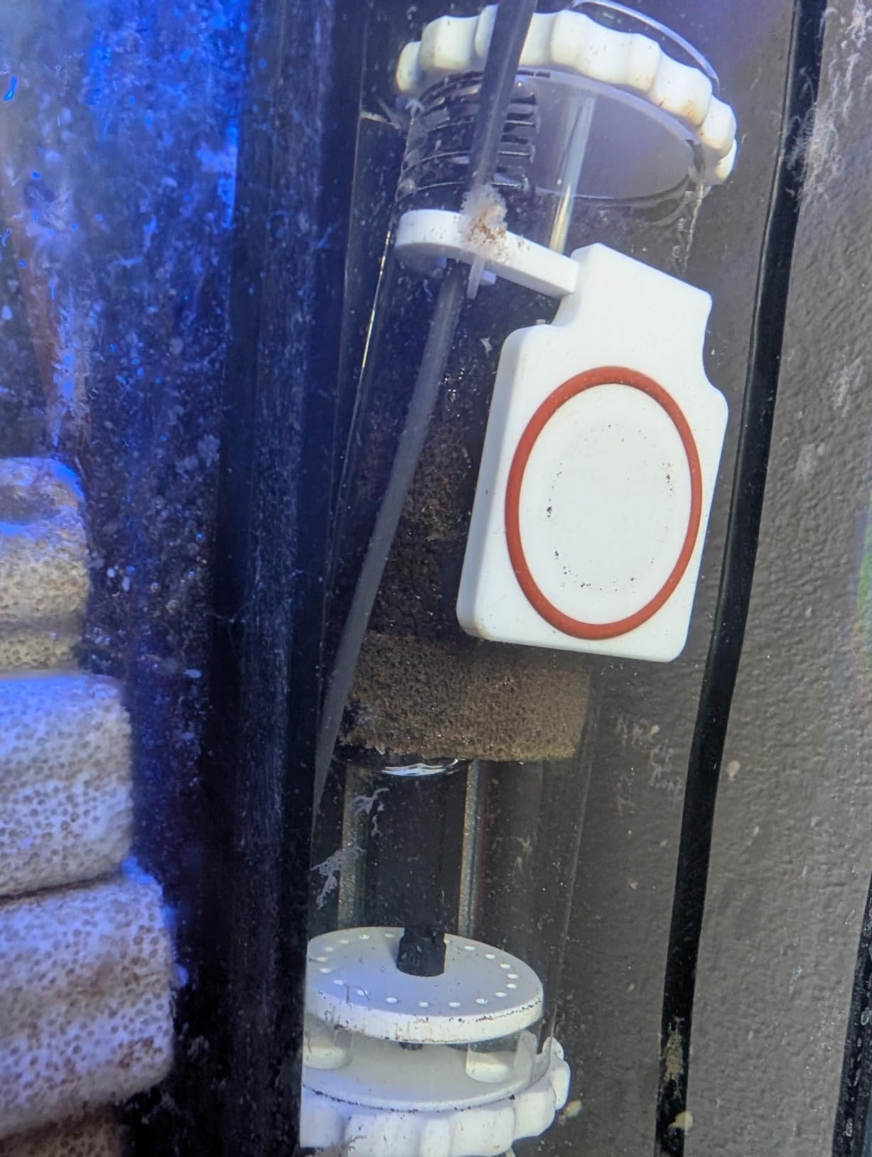 in Tank Media Reactor for Saltwater and Freshwater Aquarium Filtration, Includes Adjustable Pump, Efficient Up-Flow Design, Low Profile Magnetic Mount customer photo 1