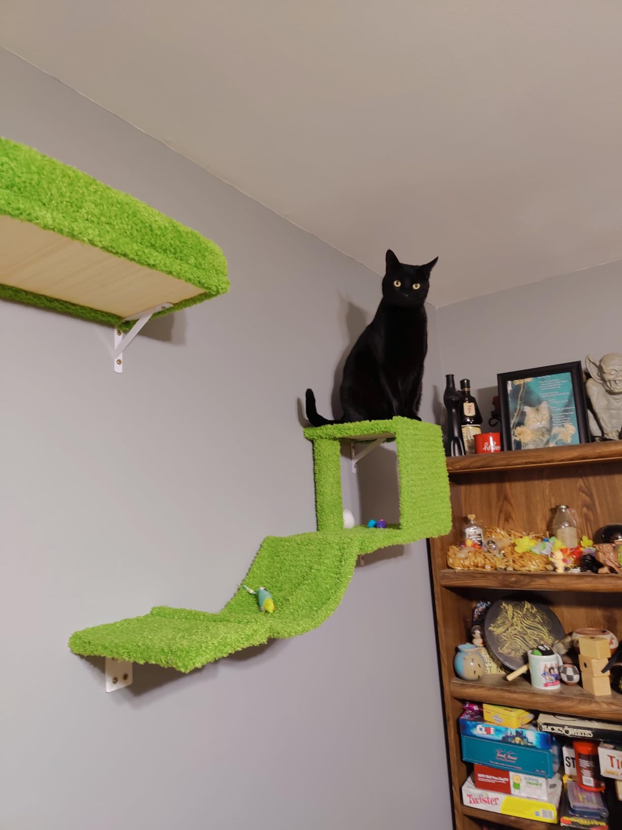FUKUMARU Cat Wall Shelves, Stable & Safe 4 in 1 Cat Walls Furniture Set, Wooden Kitten Climbing Wall with Scratching Post for 16 Inch Drywall - Gray customer photo 1