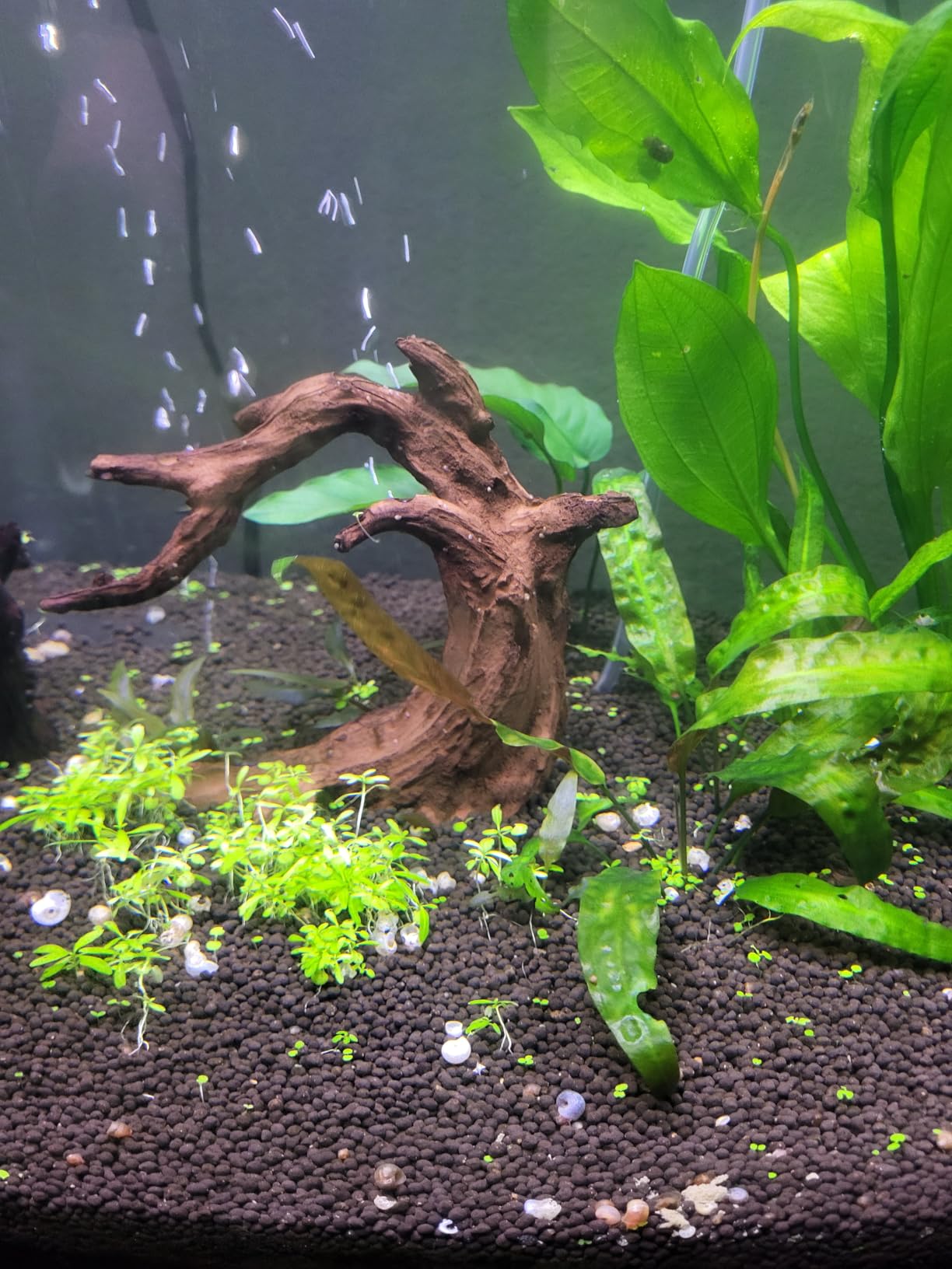 FZONE Driftwood for Aquarium Resin Model pH Neutral Aquarium Rocks for Aquascaping,Hardscape customer photo 2