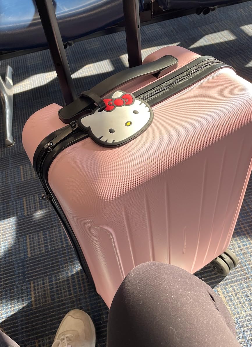 Luggage Sets 2 Piece Hardshell 20