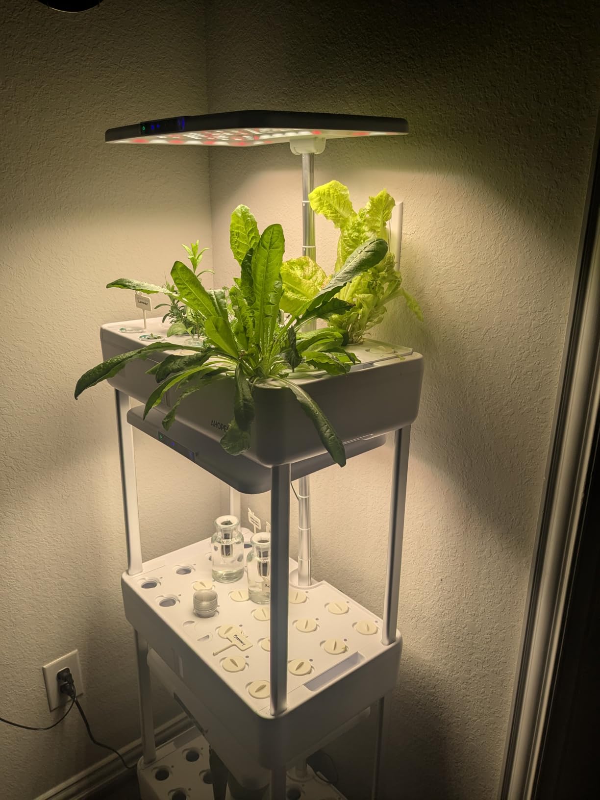 Ahopegarden Indoor Garden Hydroponics Growing System Kit: 66 Pods Plant Herb Garden with LED Grow Light customer photo 2