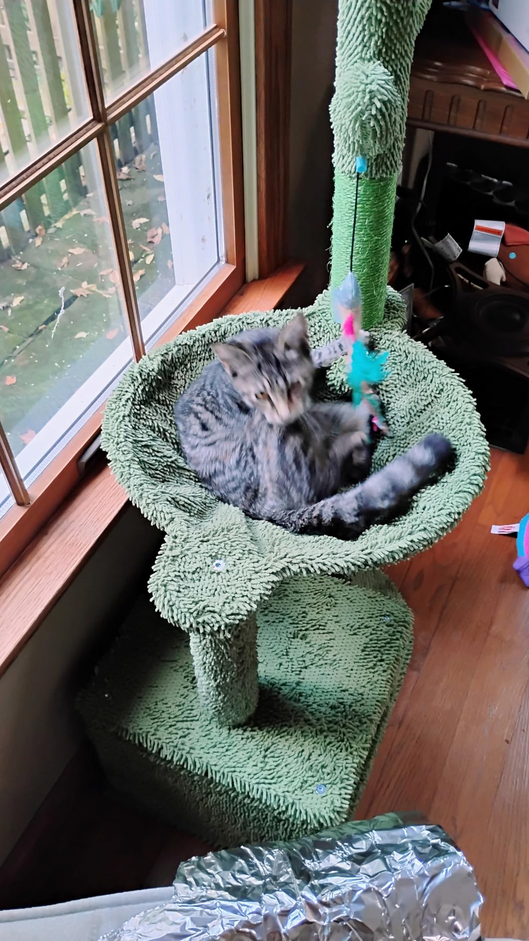 MUTTROS Modern Cat Tree for Large Cats, Wood Cat Tower for Indoor Cats, Real Branch Luxury Cat Furniture with Super Large Cozy Condo and Hammock & Scratching Post, Top Basket, White customer photo 1