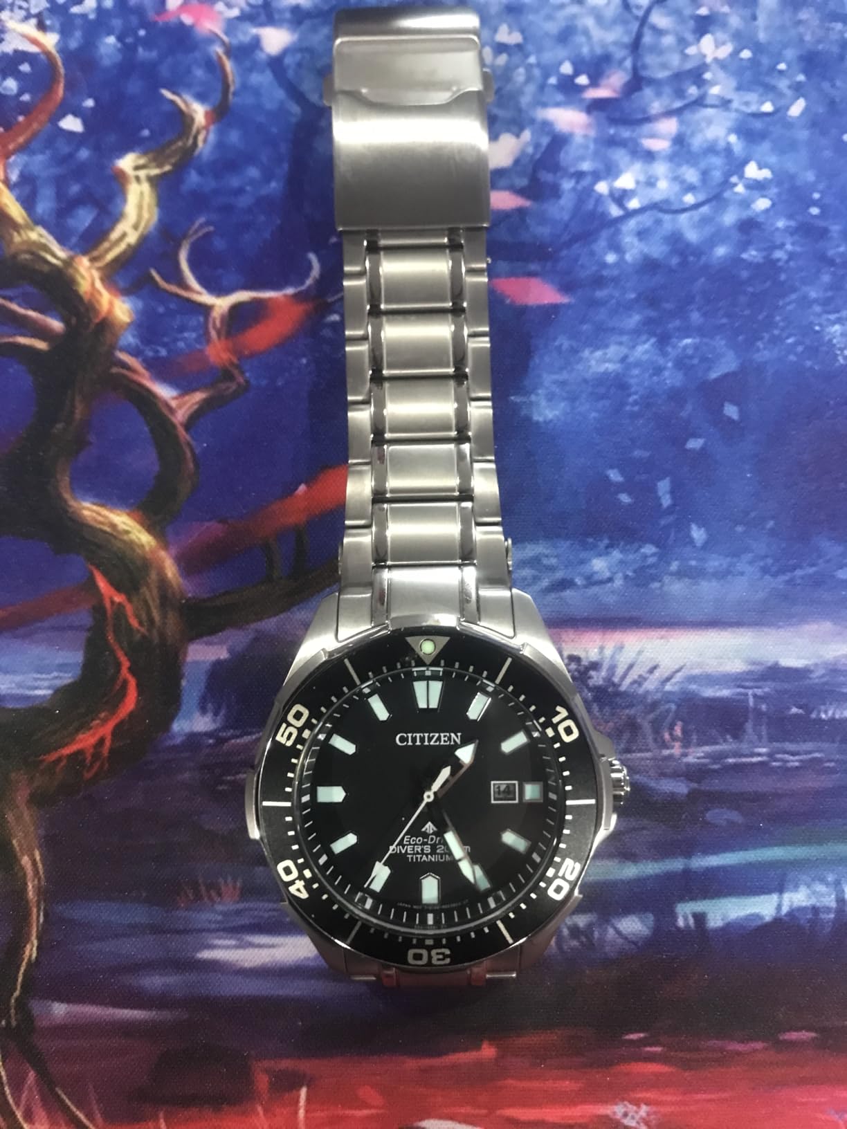 Citizen Men's Promaster Sea Eco-Drive Stainless Steel Watch with Blue Dial, 3-Hand Date, One-Way Rotating Bezel, ISO Compliant (Model: BN0193-17E) customer photo 2