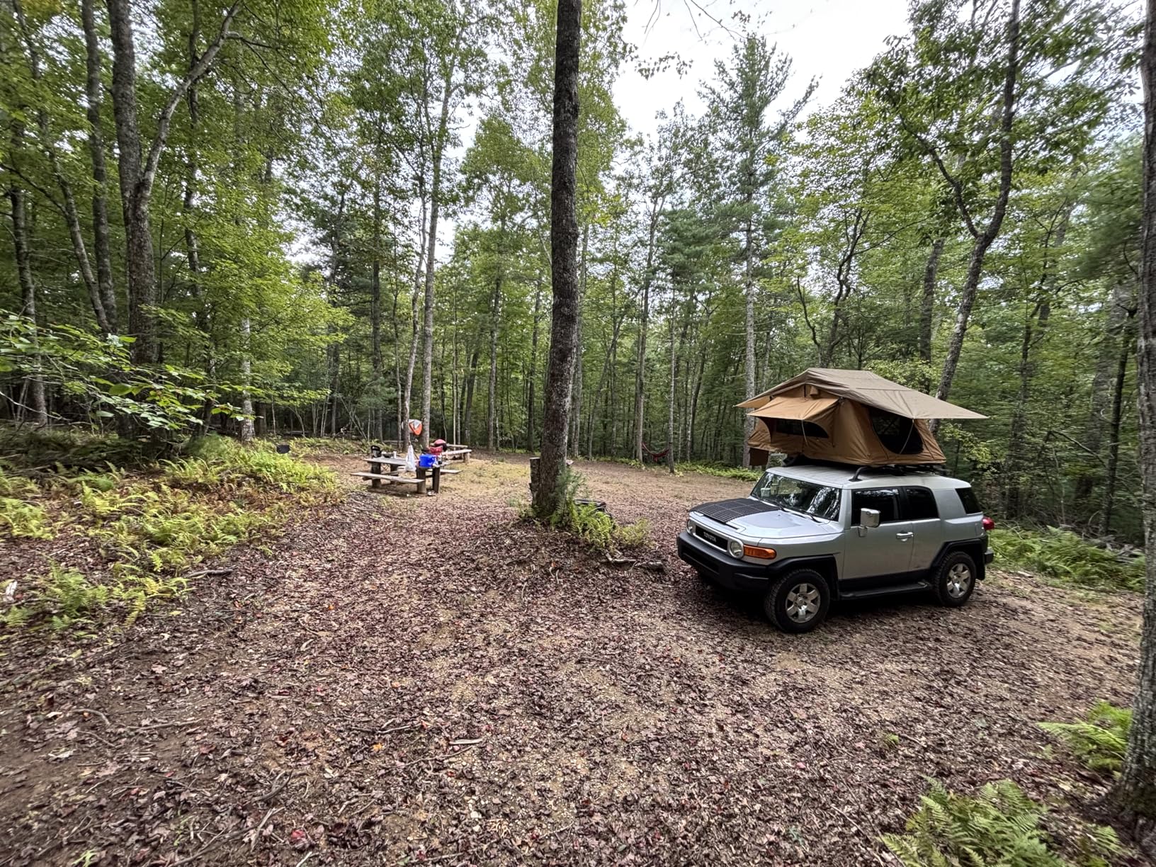 Rooftop Tent for SUV & Truck Camping, Soft Shell Roof Top Tent, Quick-Setup Design with Telescopic Ladder and LED Lighting for 2-3 Person Family Adventures customer photo 2