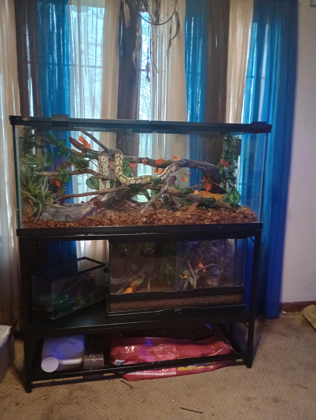 Fish Tank Stand, 40 Gallon Heavy Duty Metal Aquarium Stands, Reptile Tank, Turtle Tank, Breeder Tank Stand, 660LBS Capacity Terrarium Stand Rack with 2-Tier Storage Shelves (Black, 36.5
