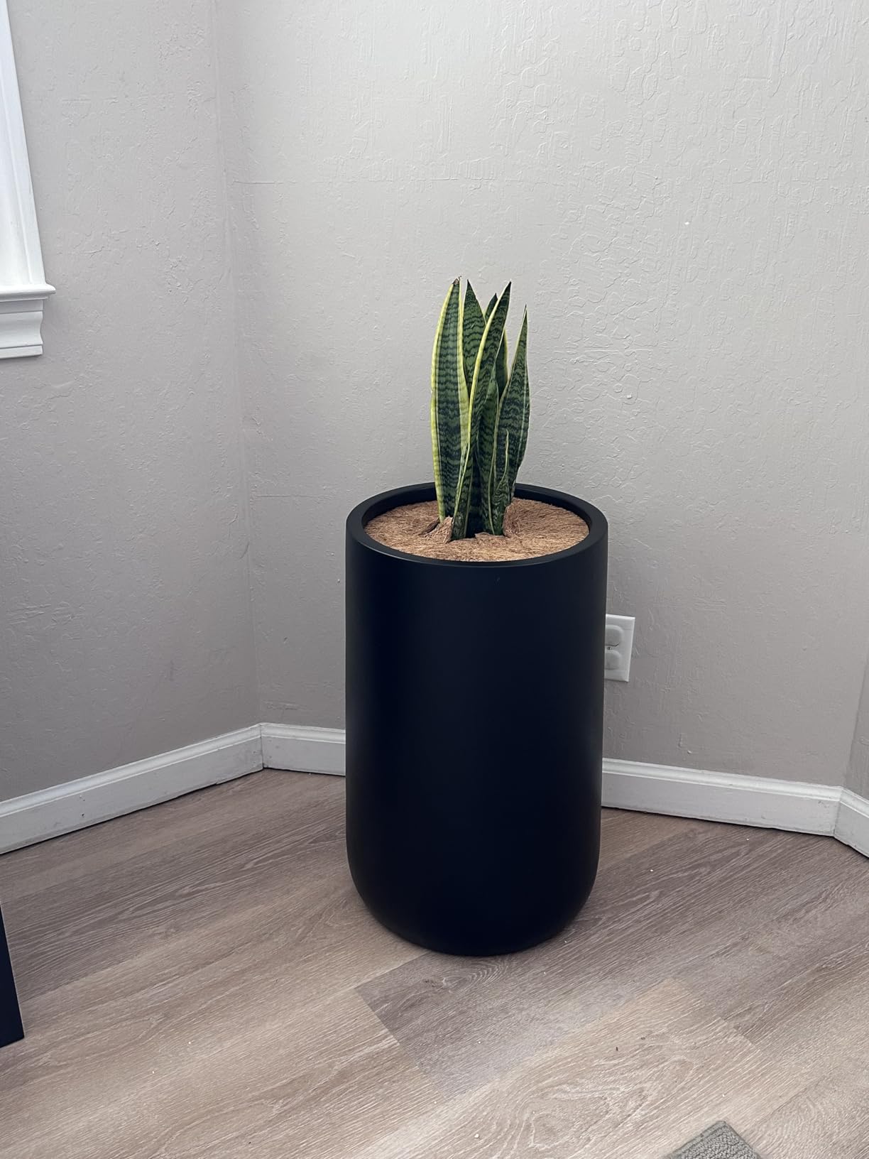 KUTE NEST Conico 14