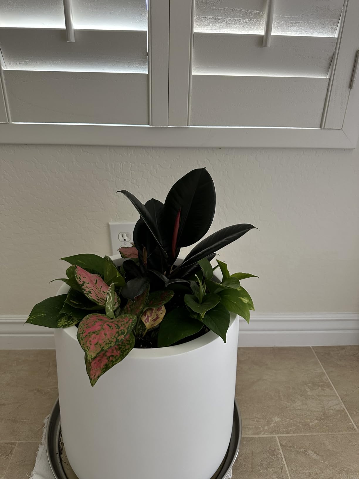 KUTE NEST Conico 14