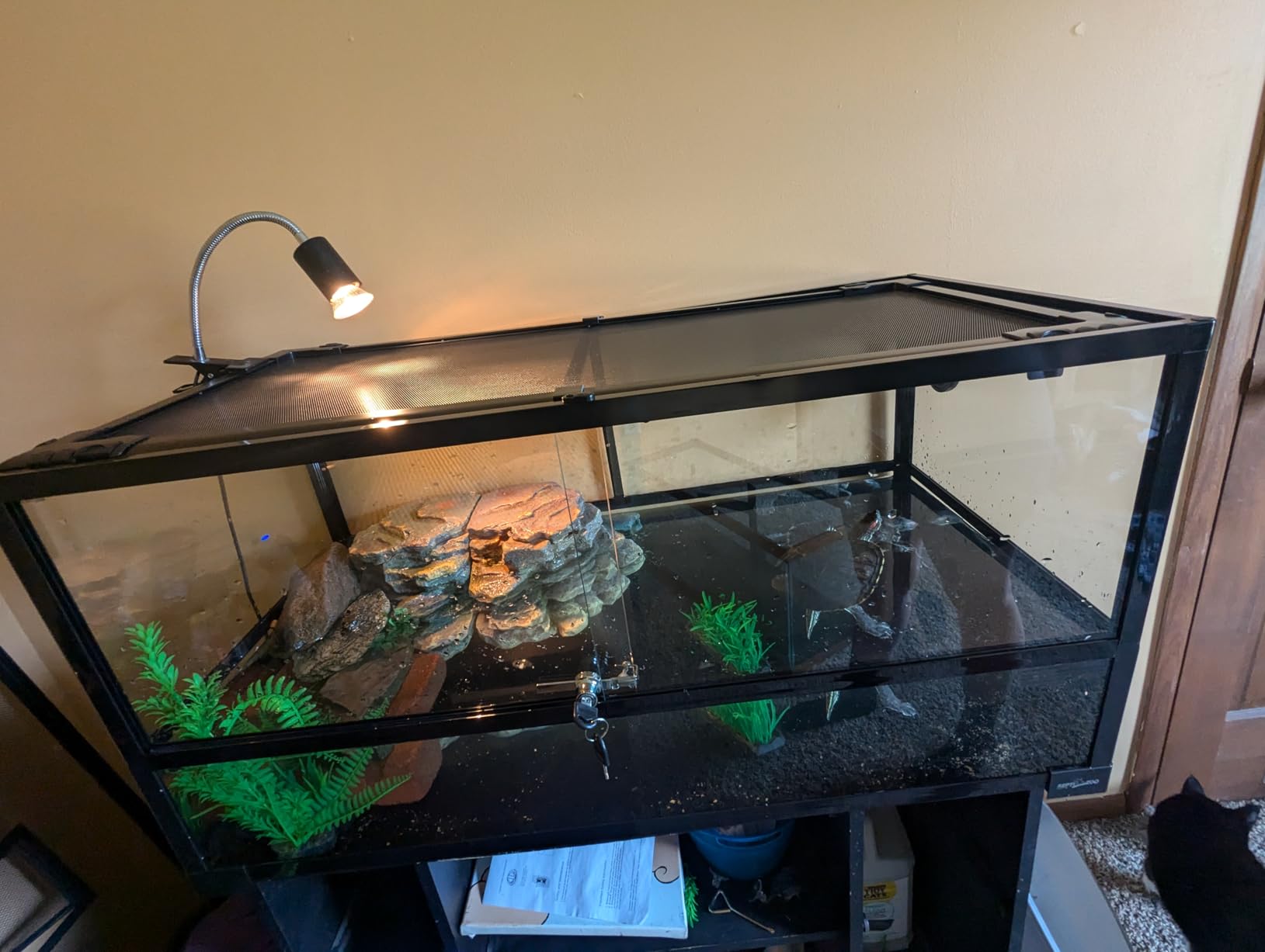 REPTIZOO 67 Gallon Large Turtle Tank Aquarium, 48