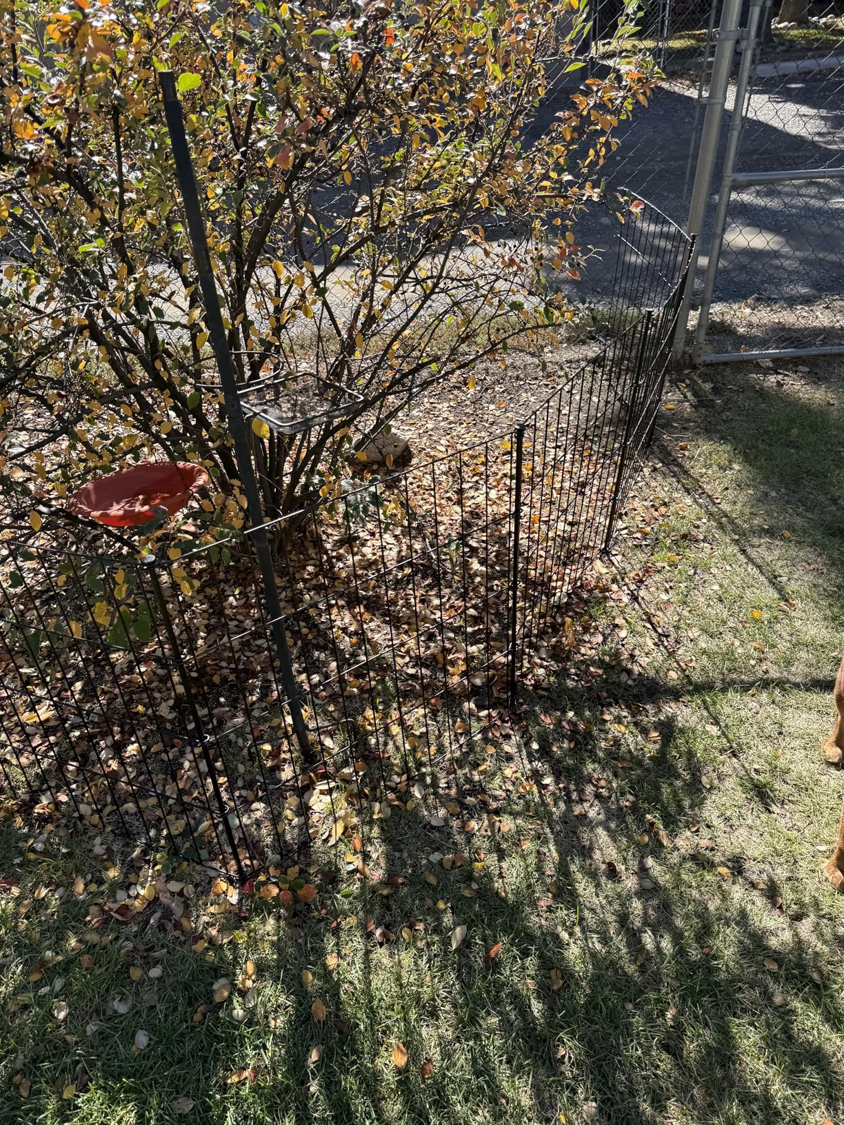 Metal Garden Fence 40in (H) x 23.3ft (L), 10 Panels + 11 Stakes Dog Fences Border Fence Animal Barrier, No Dig Garden Fencing for Yard Flower Bed Lawn Patio Outdoor, PIN402810 Black customer photo 1