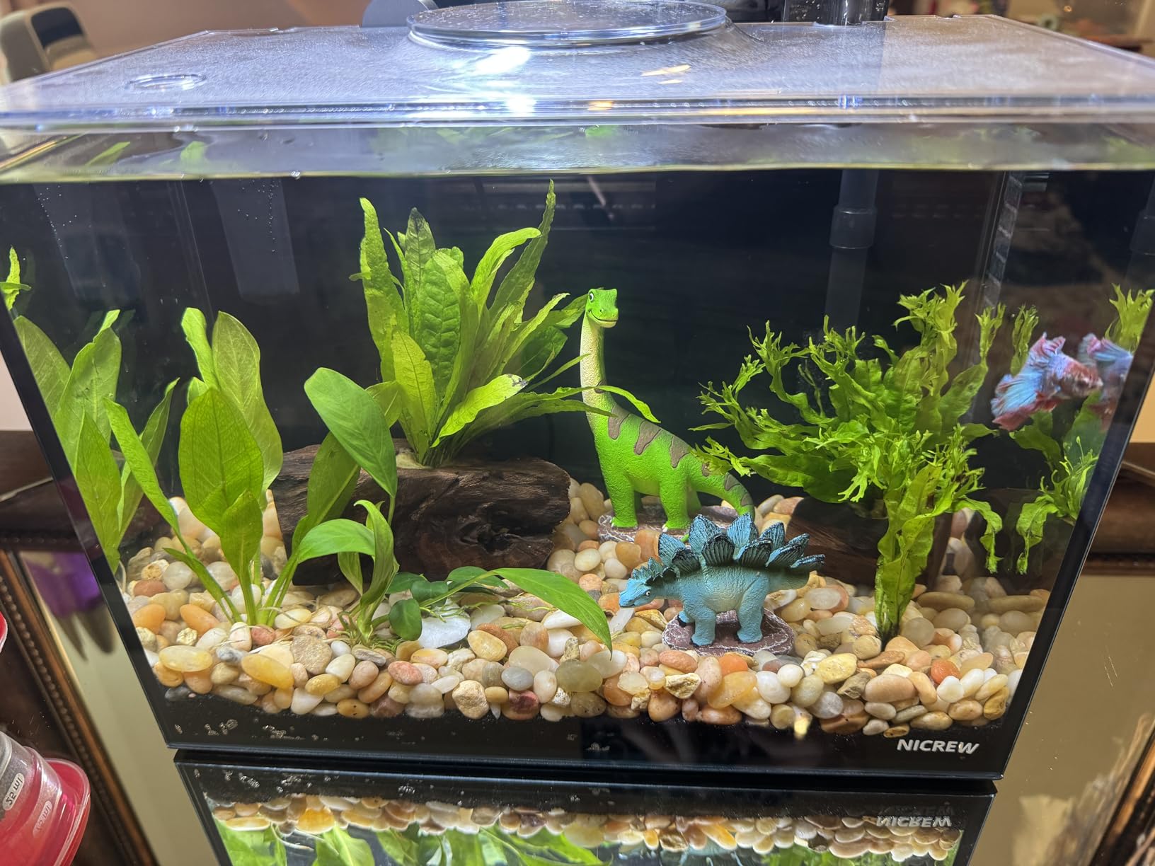 NICREW 2.5 Gallon Nano Nature Aquarium Kit, Ultra-Clear Rimless Desktop Fish Tank with Light and Filter, Perfect for Small Fish, Shrimp, or Betta, Basic Version, Black customer photo 1