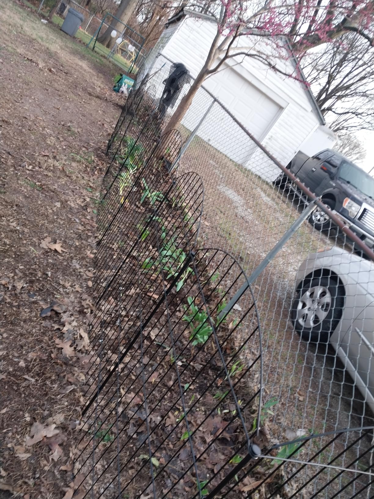 Metal Garden Fence 36in (H) x 23.3ft (L), 10 Panels + 11 Stakes Dog Fences Border Fence Animal Barrier, No Dig Garden Fencing for Yard Flower Bed Lawn Patio Outdoor, CTW3610 Black customer photo 1