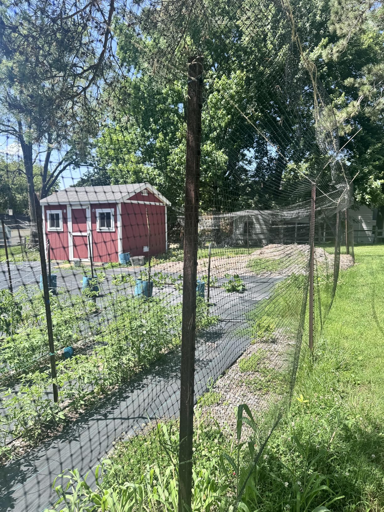 FRUITEAM Deer Fence Netting, 8FT x 100FT Heavy Duty Black PP Coated Garden Protection Barrier customer photo 1