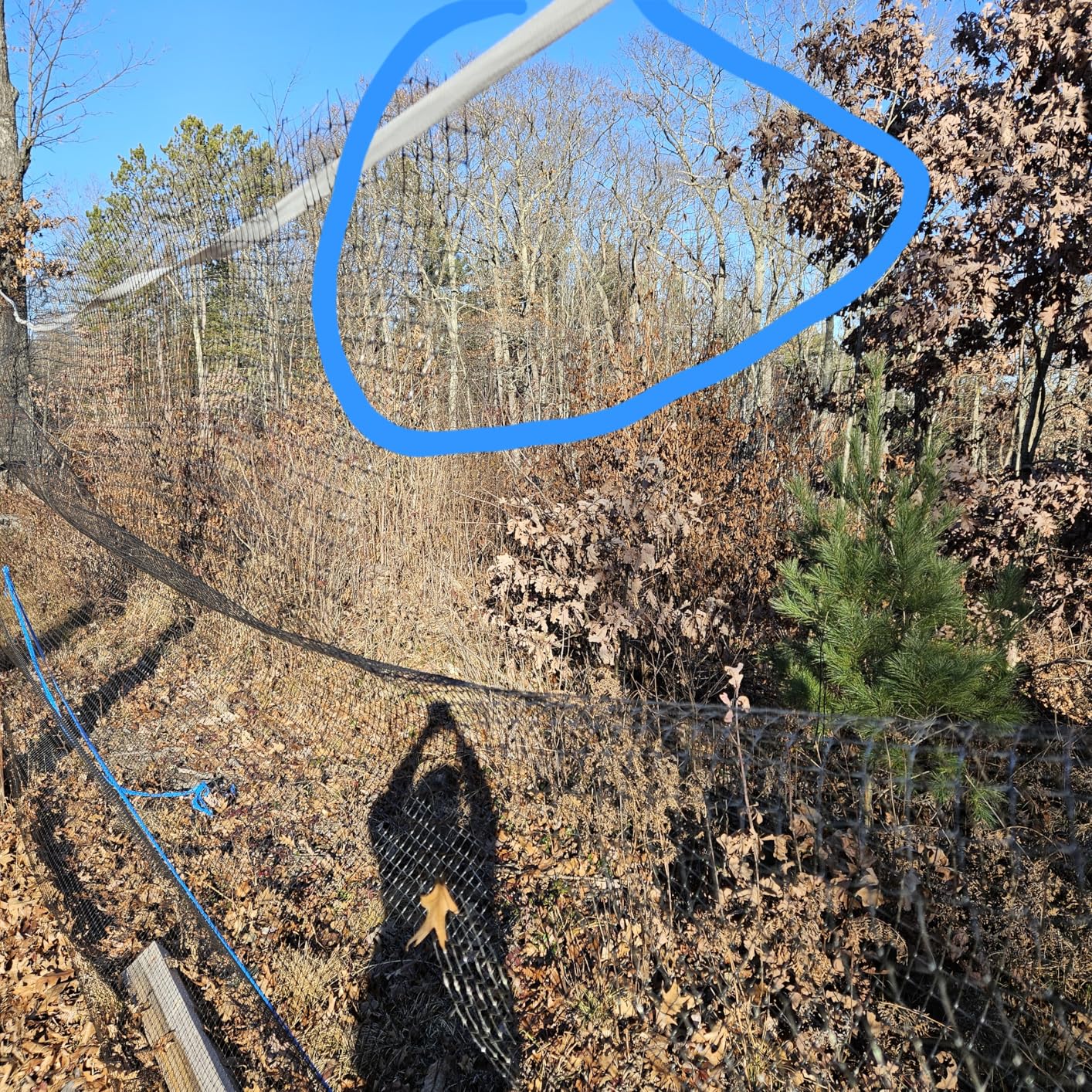 FRUITEAM Deer Fence Netting, 8FT x 100FT Heavy Duty Black PP Coated Garden Protection Barrier customer photo 2