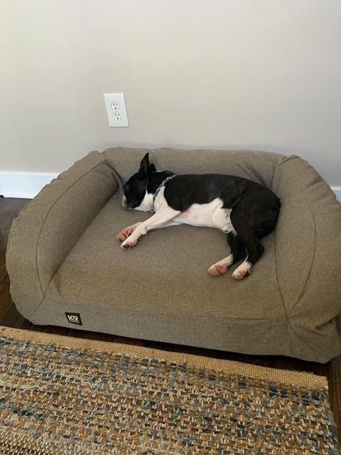 Tough Bolster Orthopedic Sofa Dog Bed with Removable Washable Cover - Durable, Water Resistant with Nonskid Bottom - Large, Titanium Premium Finish customer photo 1