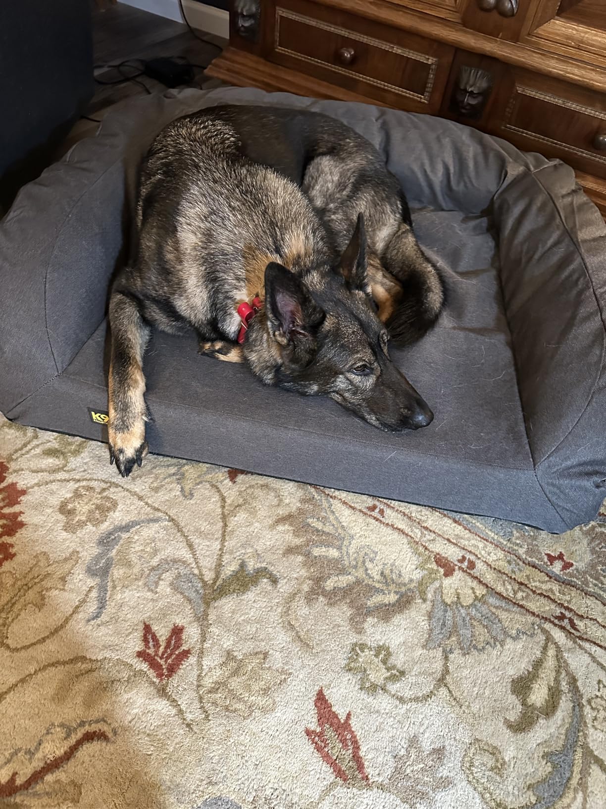 Tough Bolster Orthopedic Sofa Dog Bed with Removable Washable Cover - Durable, Water Resistant with Nonskid Bottom - Large, Titanium Premium Finish customer photo 2