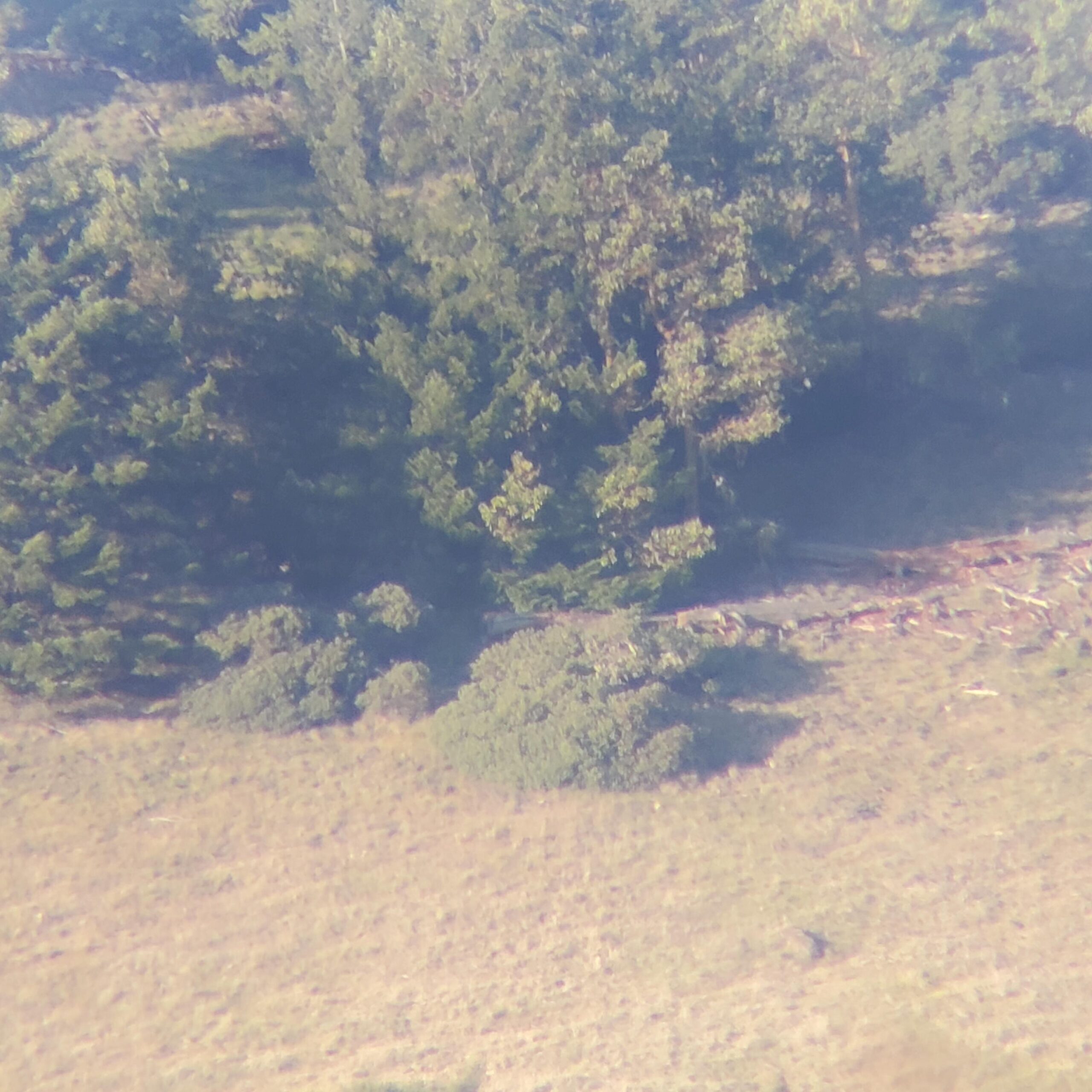 Leupold SX-2 Alpine HD Spotting Scope, Angled customer photo 1
