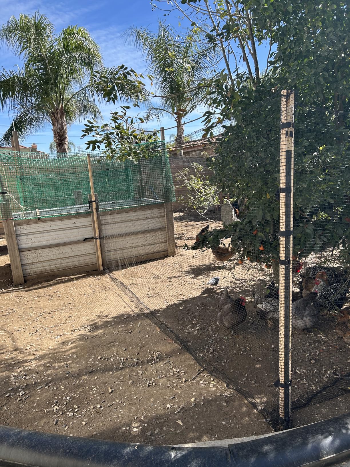 Deer Fence Netting, Plastic Mesh Fence 6.5x50ft, Reinforced Edges 55gsm Heavy Duty Animal Barrier, Ideal for Garden Netting, Against Bird, Temporary Fence, Fruit Plant Protection, Black customer photo 2