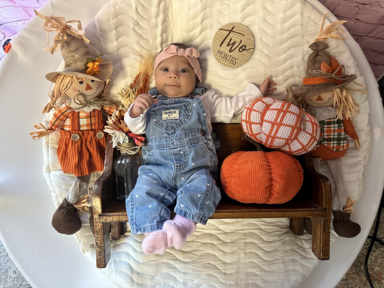 Kate Newborn Photography Props Stainless Steel Stand Set for Baby Photoshoot,Including Newborn Posing Beanbag Sleeve(Unfilled), Elastic Fabric and 6 Clamps customer photo 2